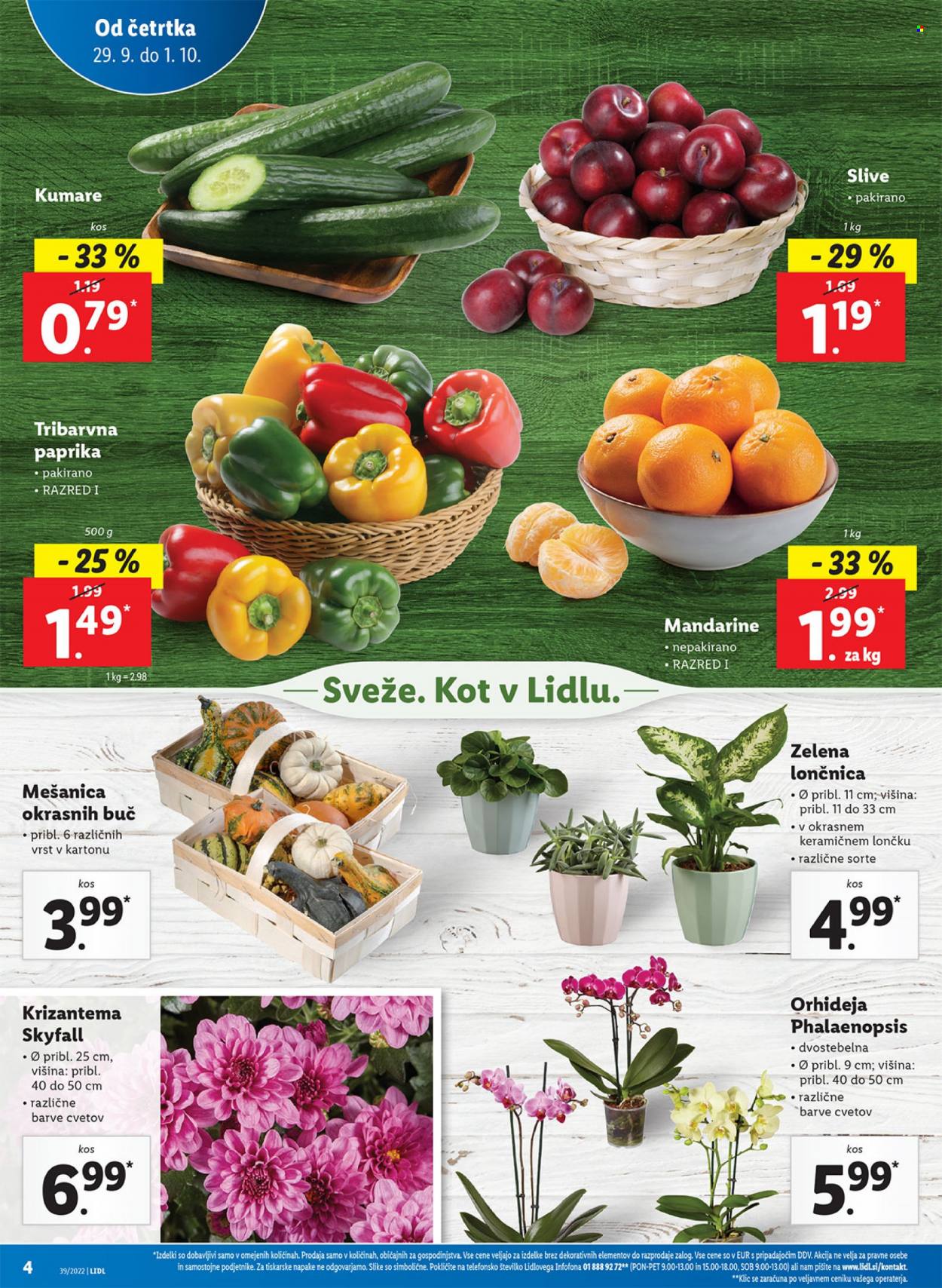 Lidl katalog - 29.9.2022 - 9.10.2022. Stran 6
