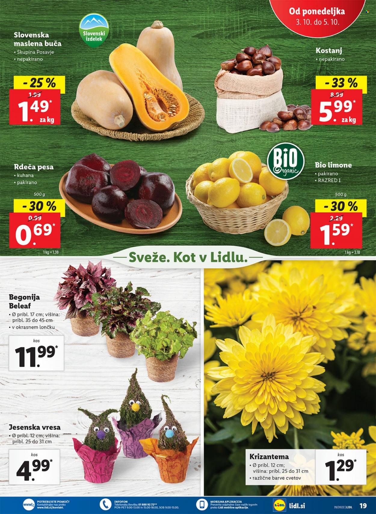 Lidl katalog - 29.9.2022 - 9.10.2022. Stran 29