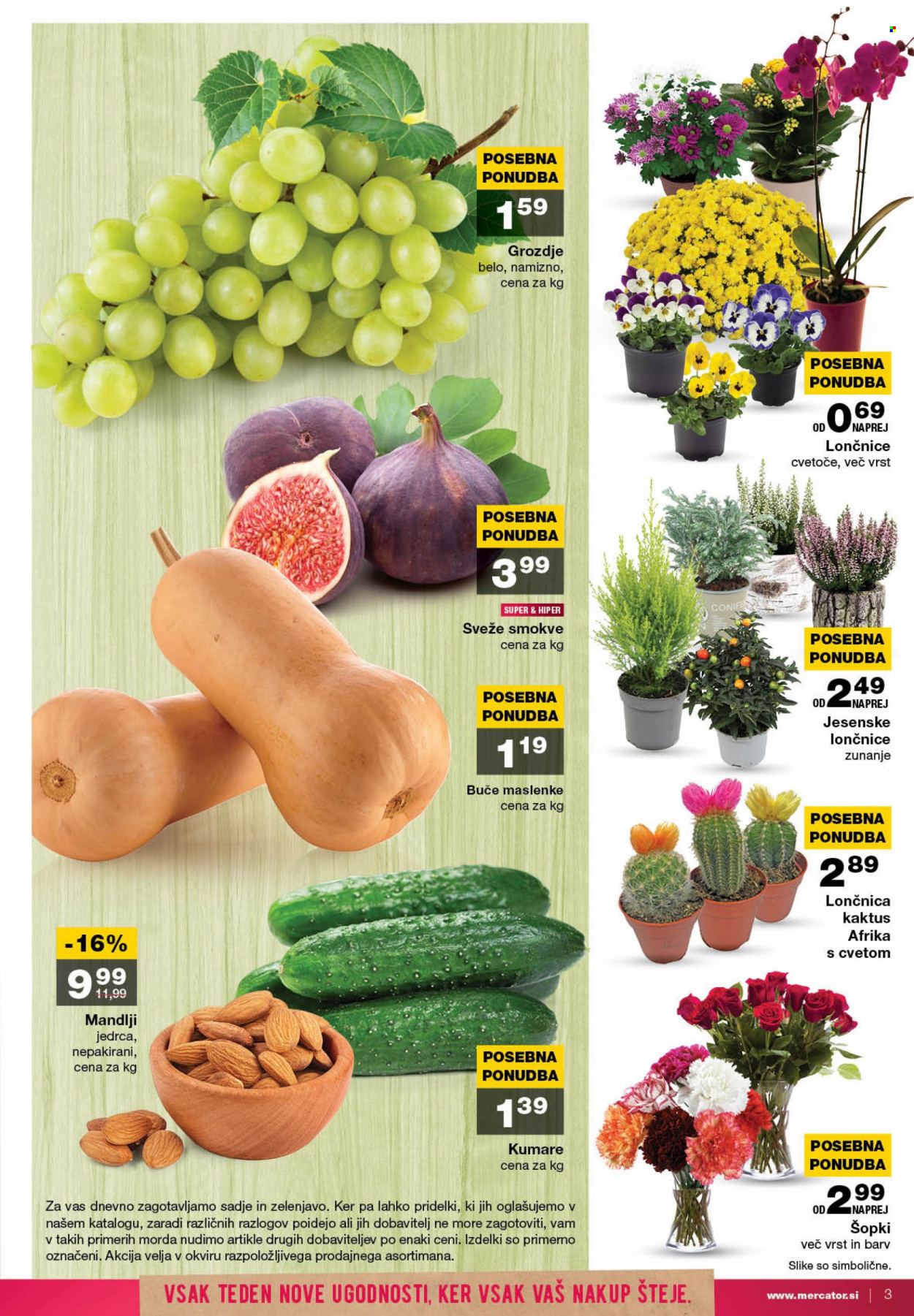Mercator katalog - 29.9.2022 - 5.10.2022. Stran 3