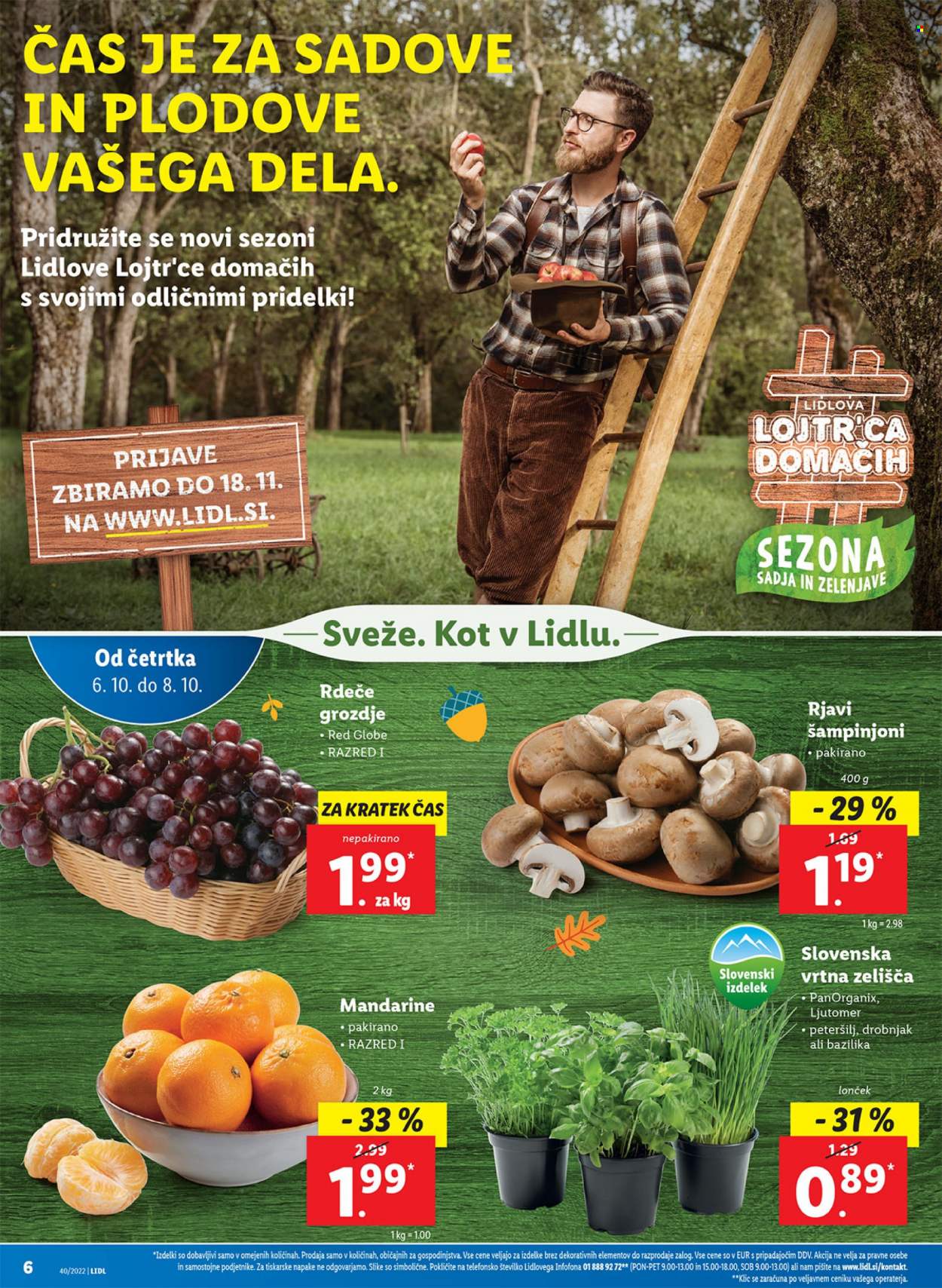 Lidl katalog - 6.10.2022 - 16.10.2022. Stran 12