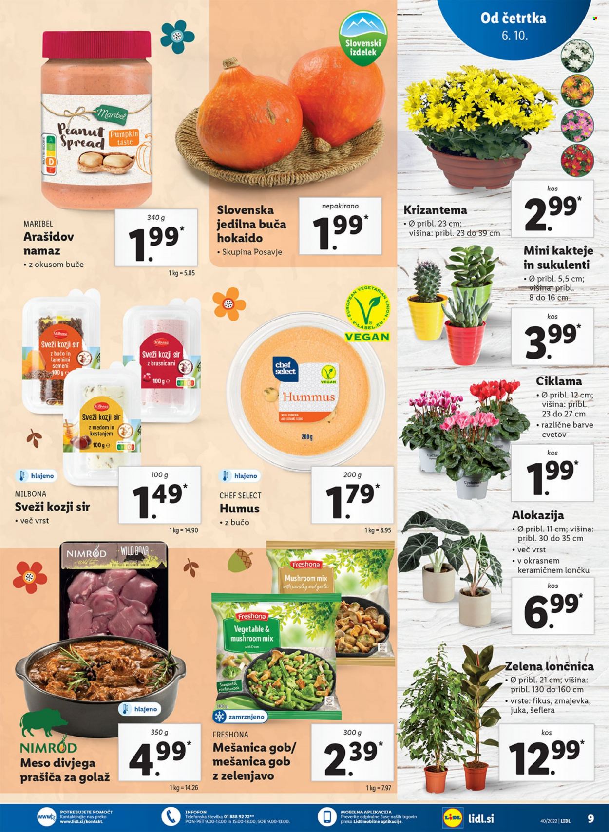 Lidl katalog - 6.10.2022 - 16.10.2022. Stran 21
