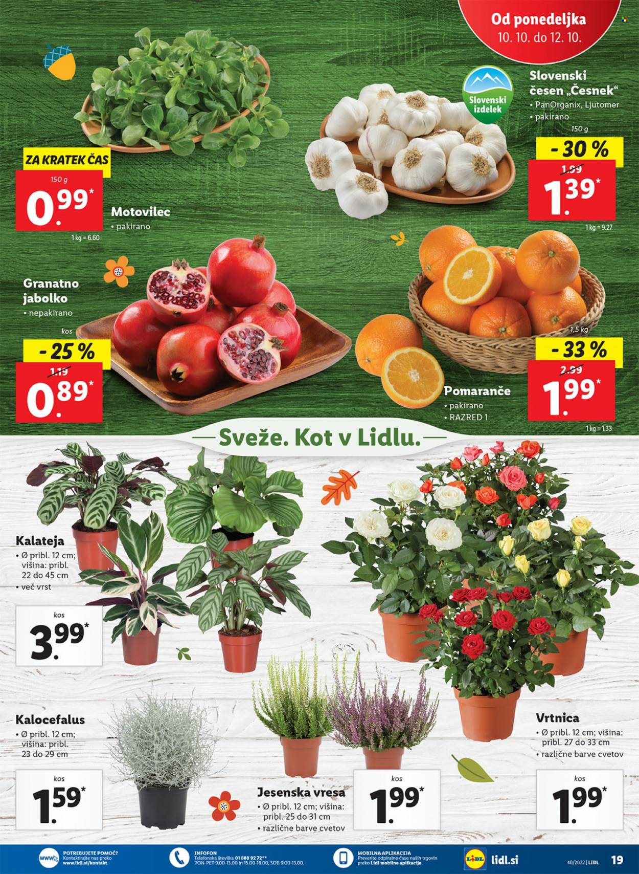 Lidl katalog - 6.10.2022 - 16.10.2022. Stran 25