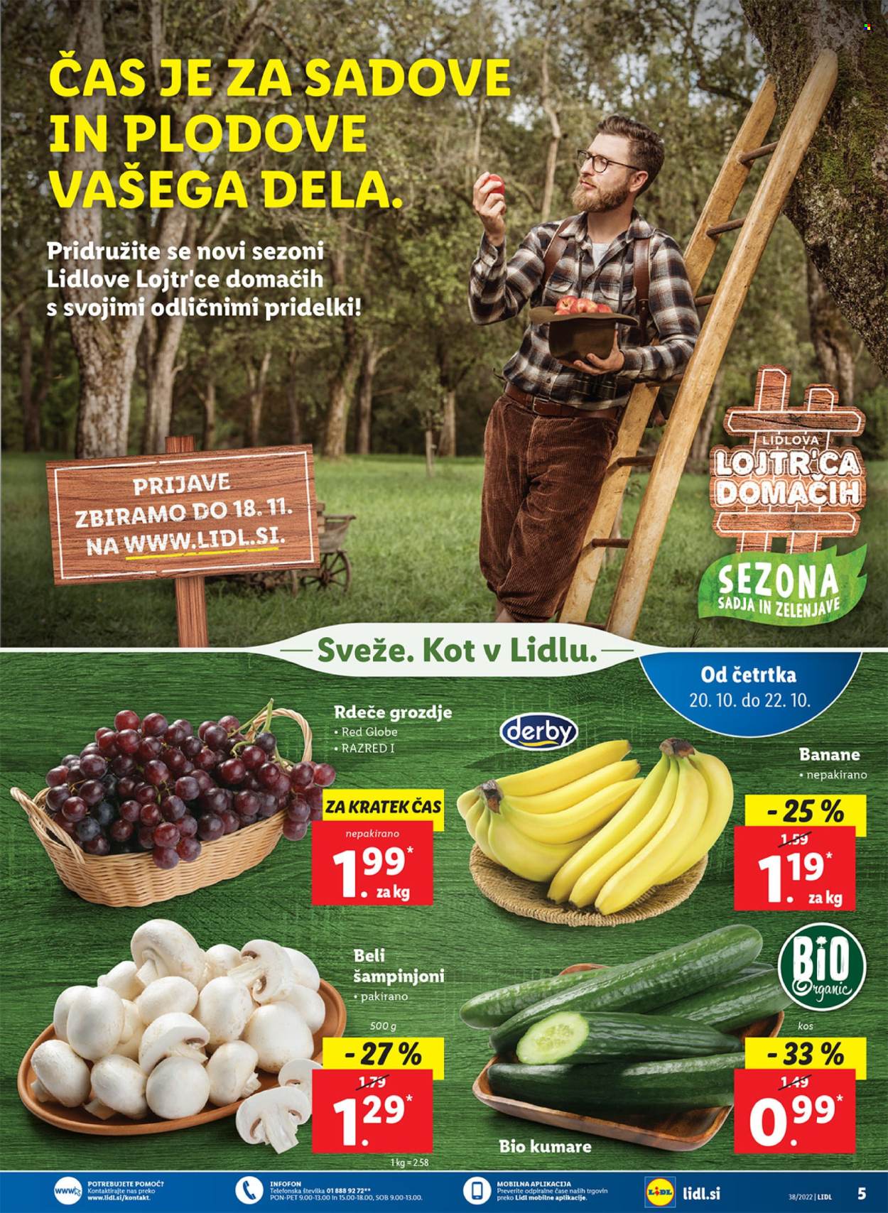 Lidl katalog - 20.10.2022 - 30.10.2022. Stran 13