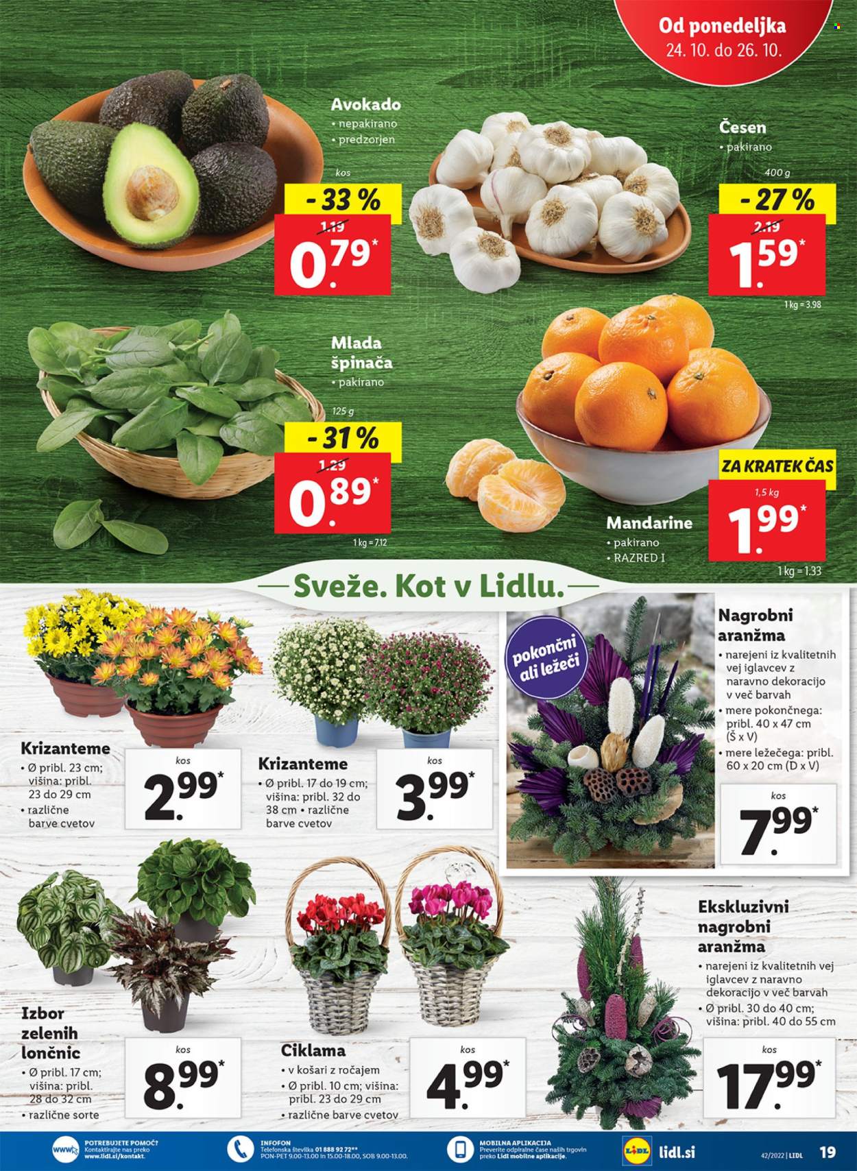 Lidl katalog - 20.10.2022 - 30.10.2022. Stran 35