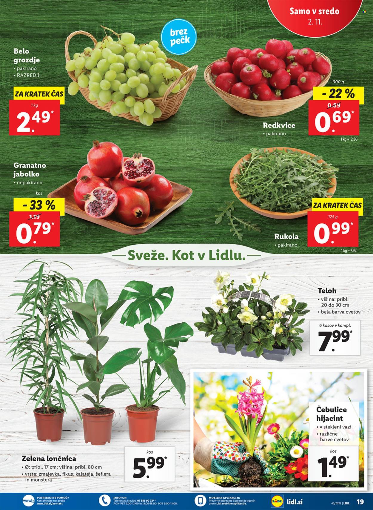 Lidl katalog - 27.10.2022 - 6.11.2022. Stran 37