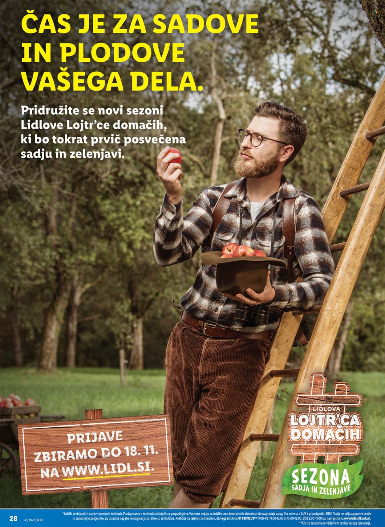 Lidl katalog - 27.10.2022 - 6.11.2022. Stran 50
