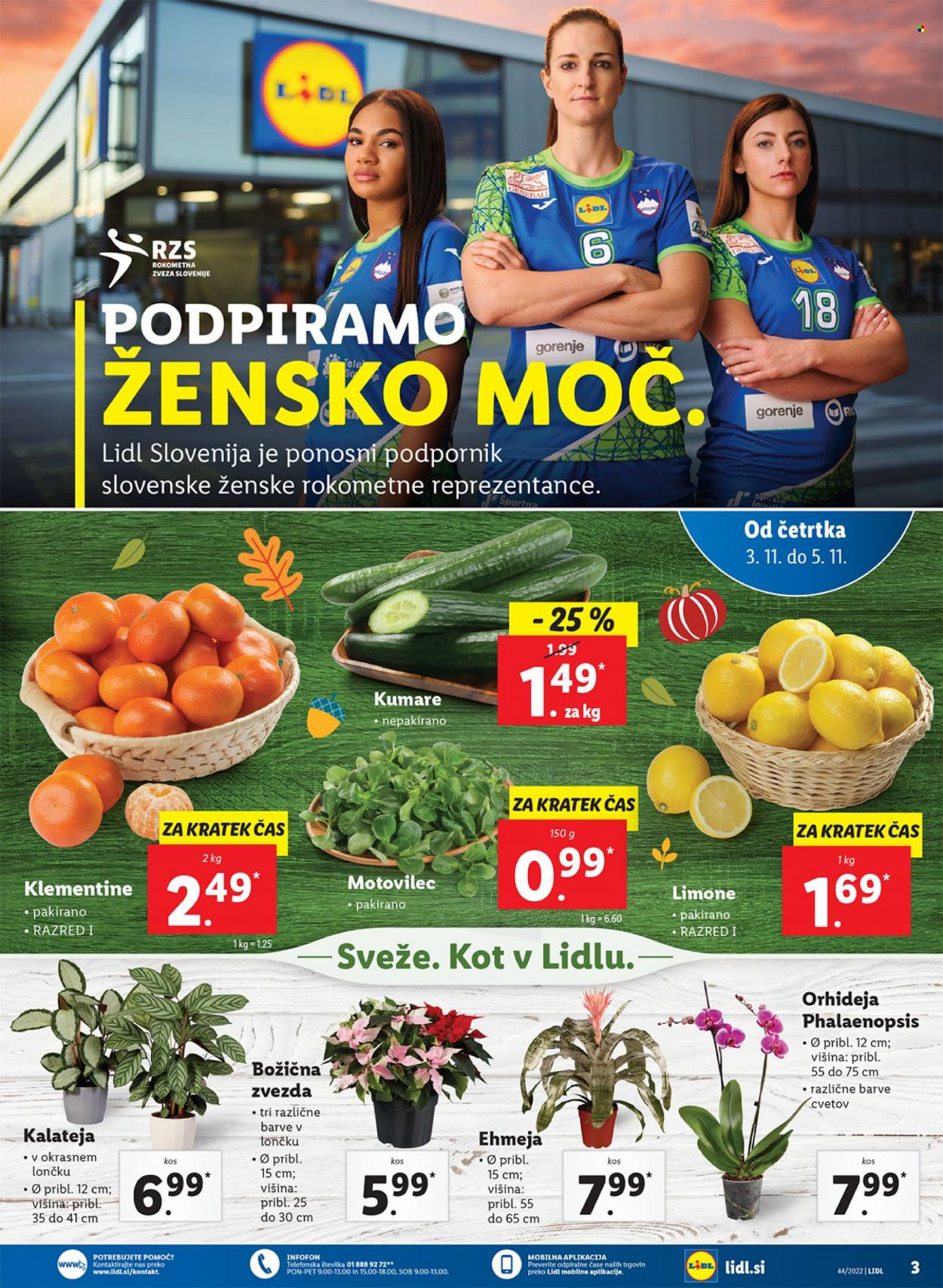 Lidl katalog - 3.11.2022 - 13.11.2022. Stran 7