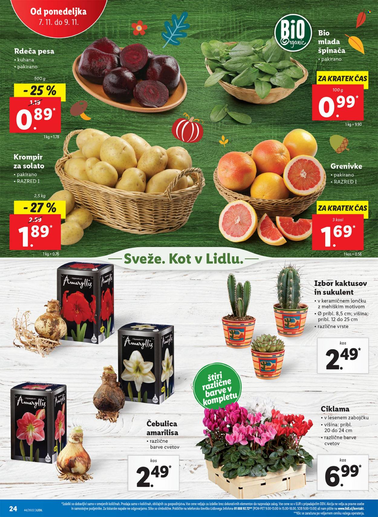Lidl katalog - 3.11.2022 - 13.11.2022. Stran 46