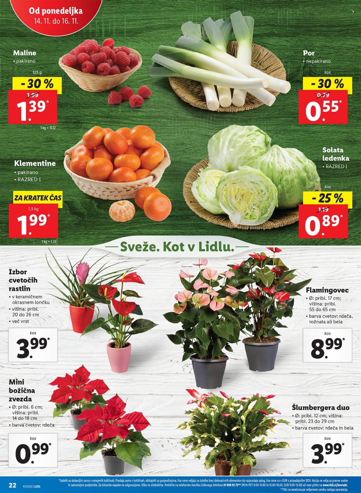 Lidl katalog - 10.11.2022 - 20.11.2022. Stran 42