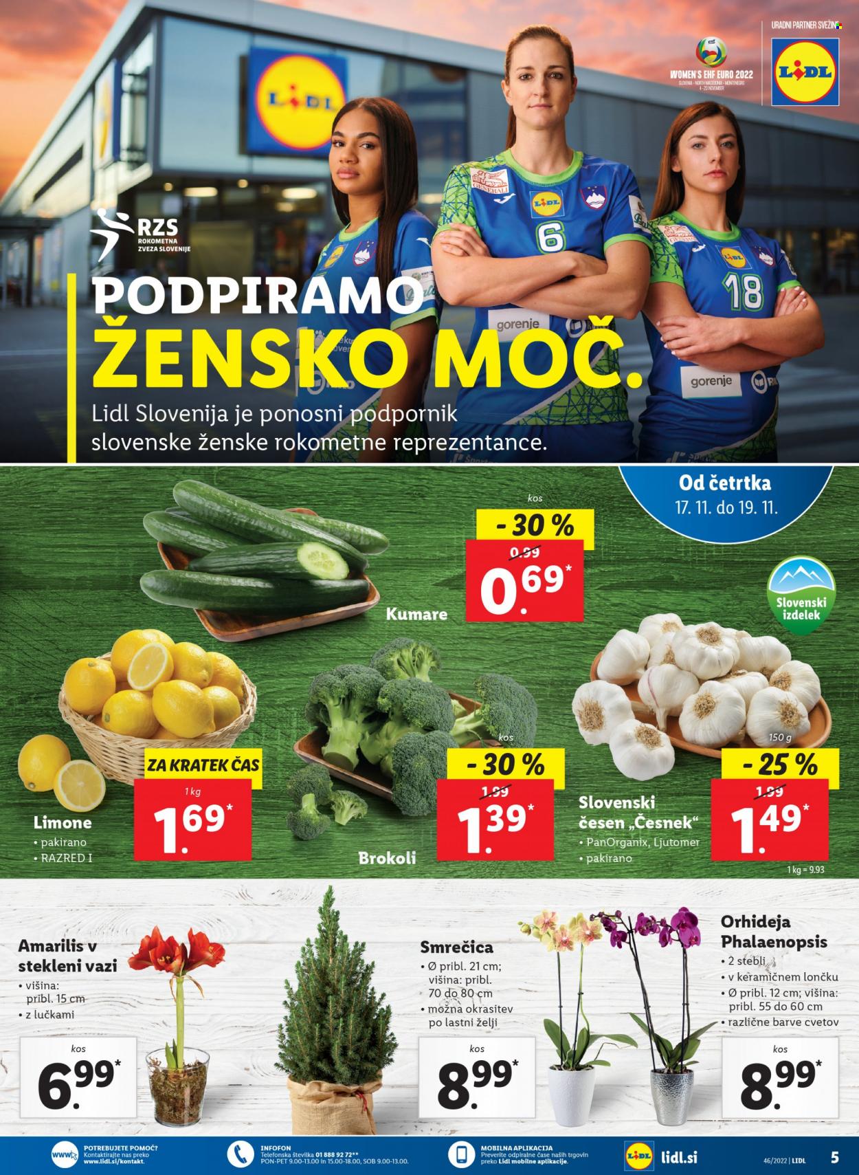 Lidl katalog. Stran 13