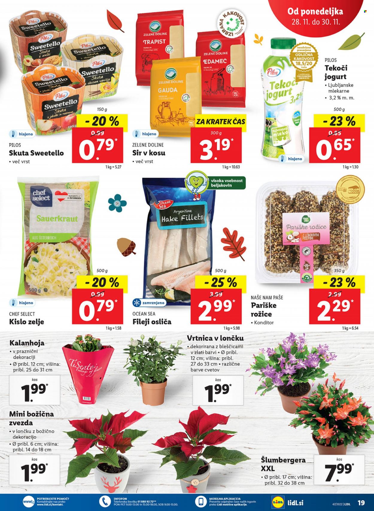 Lidl katalog - 24.11.2022 - 30.11.2022. Stran 35