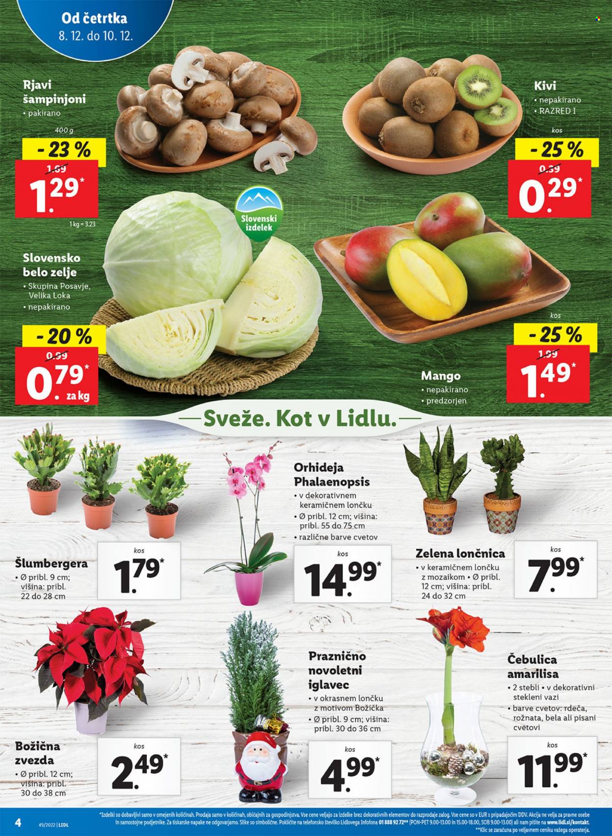 Lidl katalog - 8.12.2022 - 14.12.2022. Stran 8