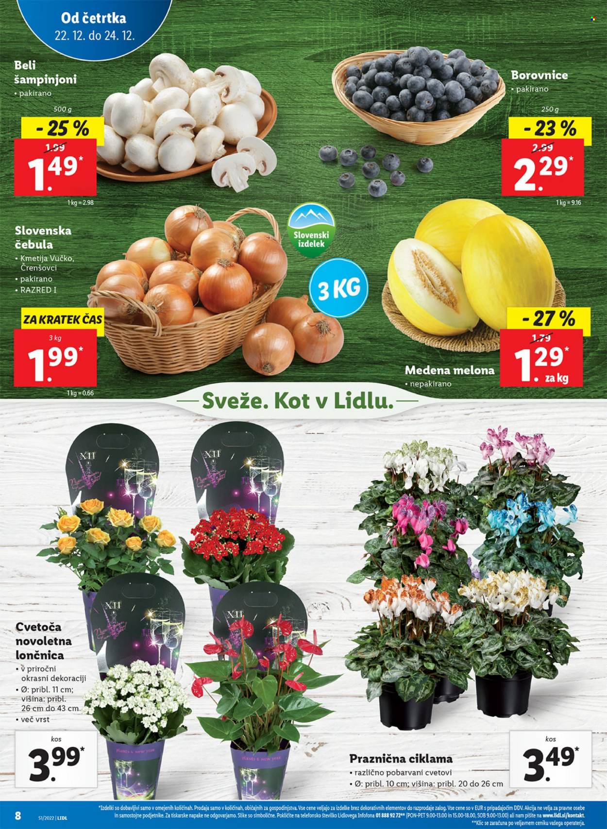Lidl katalog - 22.12.2022 - 28.12.2022. Stran 12