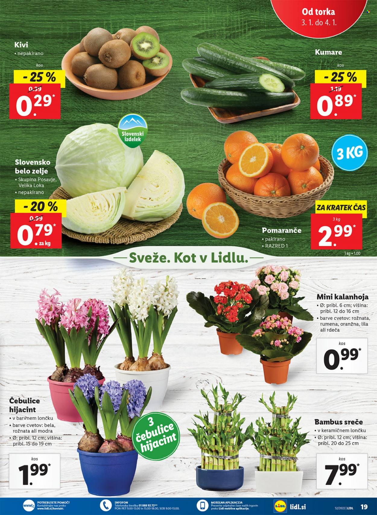 Lidl katalog - 29.12.2022 - 4.1.2023. Stran 27