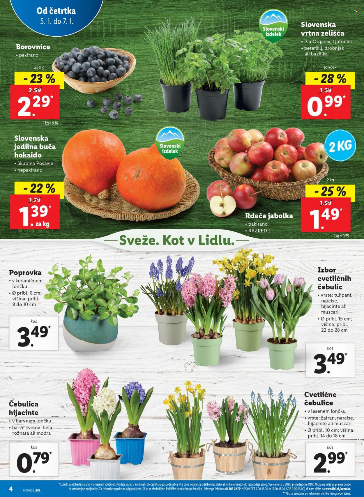 Lidl katalog - 5.1.2023 - 11.1.2023. Stran 8
