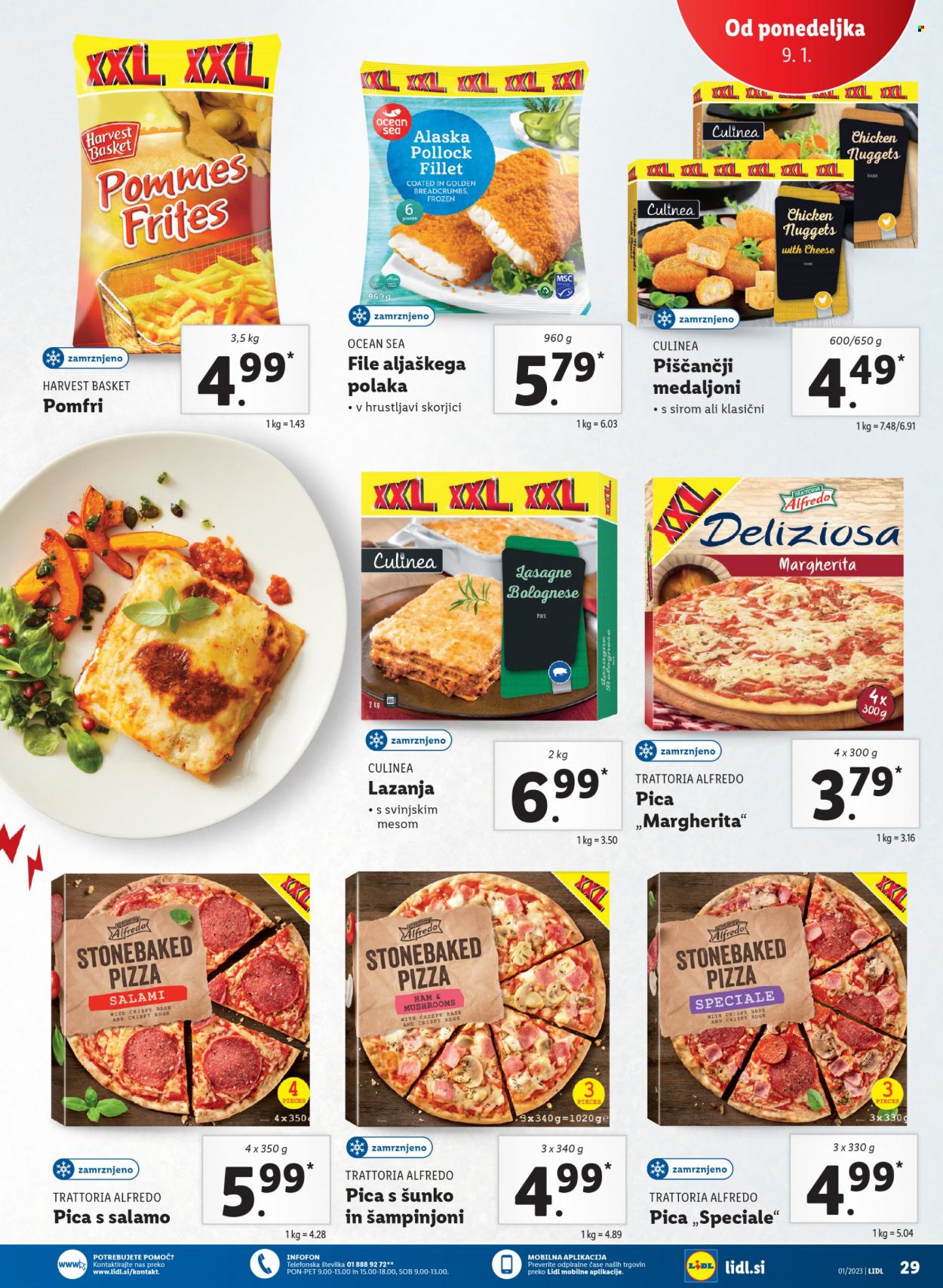 Lidl katalog - 5.1.2023 - 11.1.2023. Stran 43