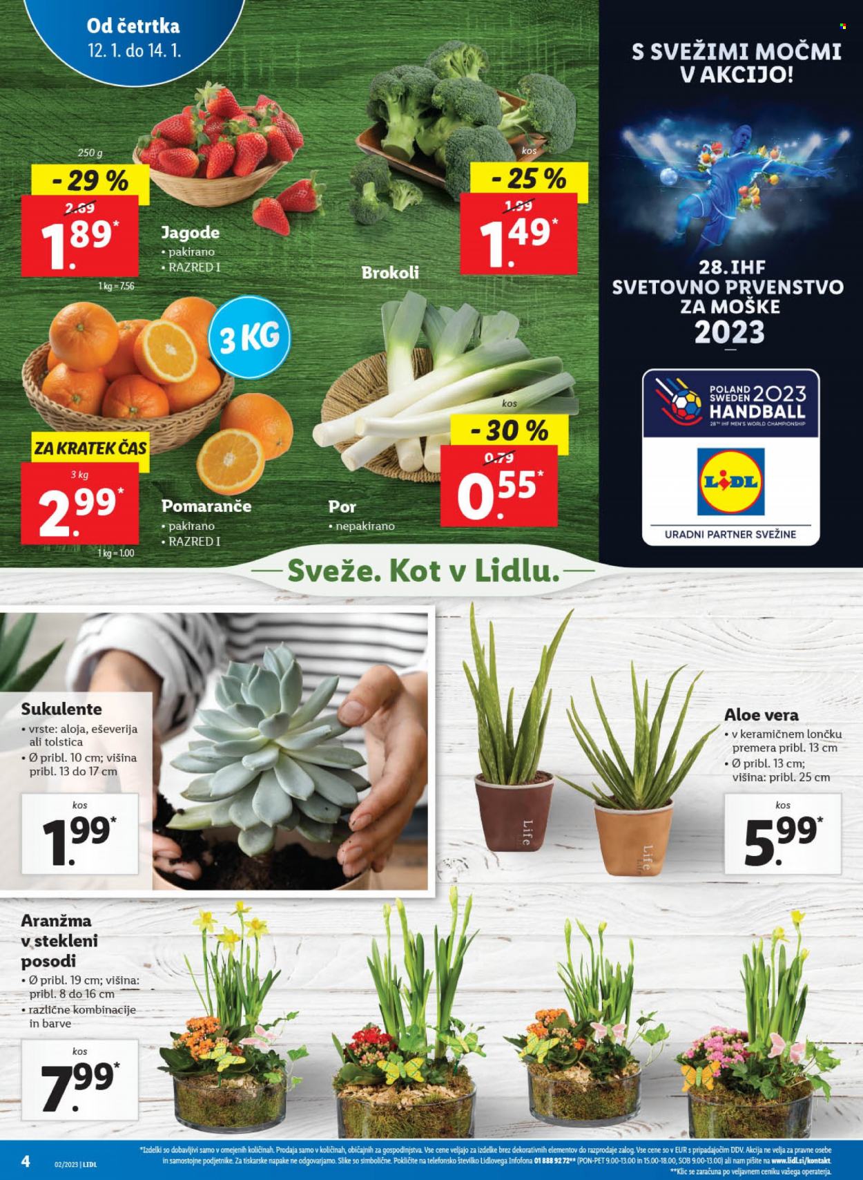 Lidl katalog - 12.1.2023 - 18.1.2023. Stran 8