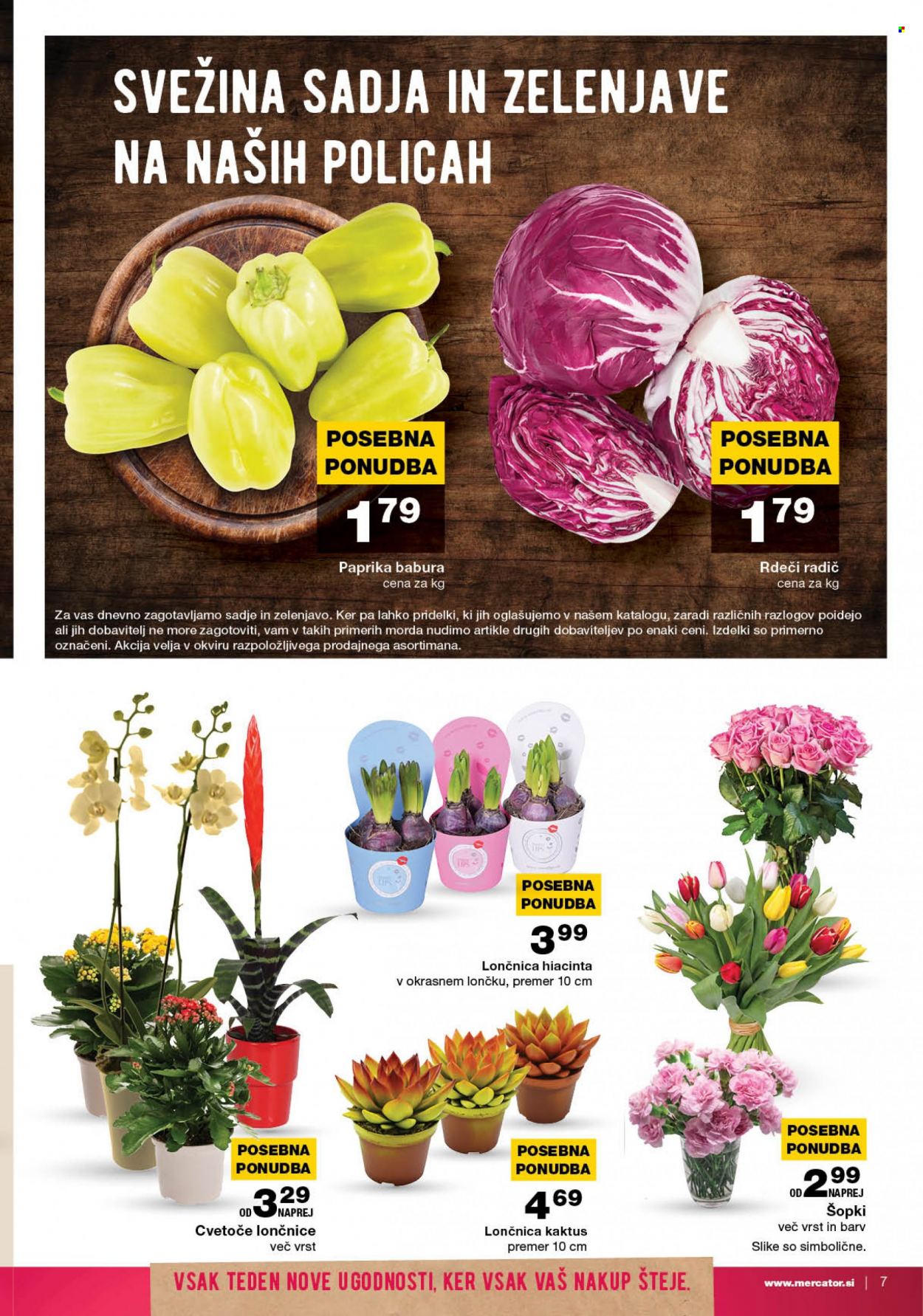 Mercator katalog - 12.1.2023 - 18.1.2023. Stran 7