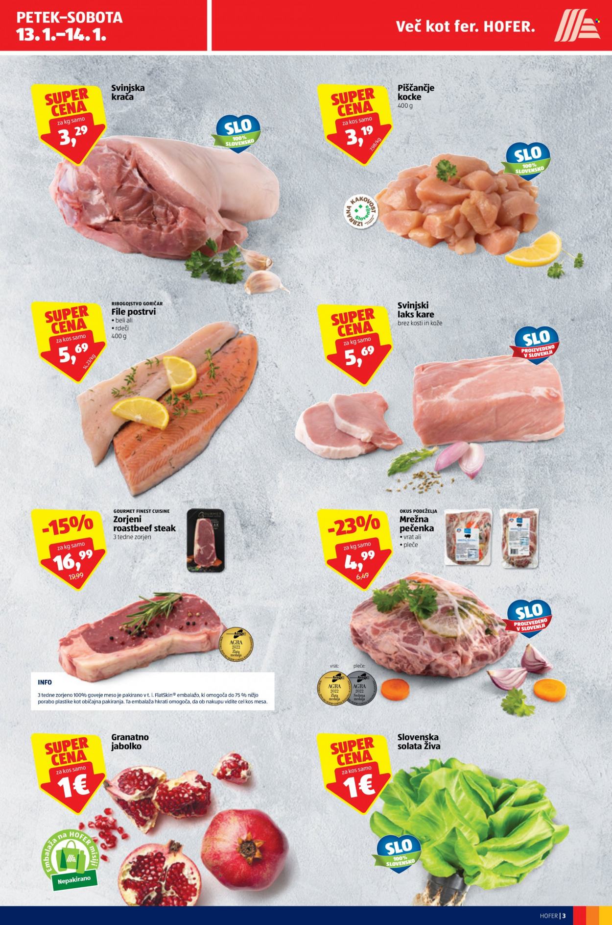 Hofer katalog - 12.1.2023 - 21.1.2023. Stran 3