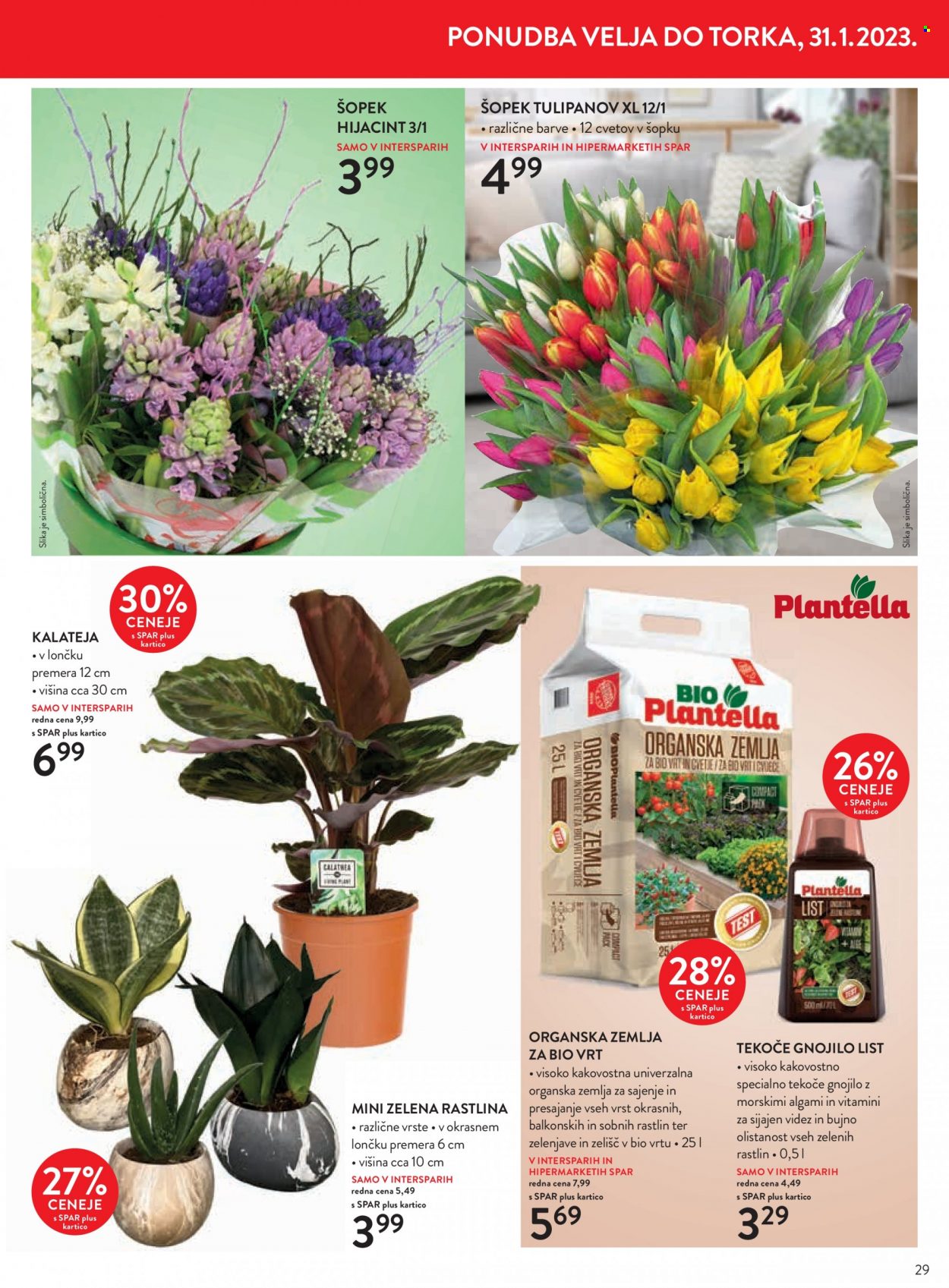 SPAR katalog - 18.1.2023 - 31.1.2023. Stran 31