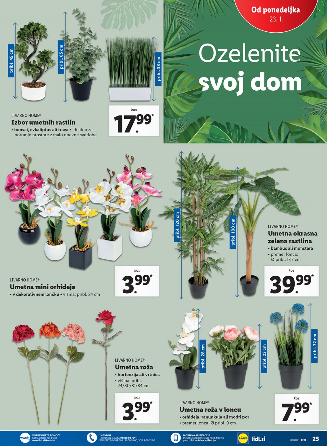 Lidl katalog - 19.1.2023 - 25.1.2023. Stran 45
