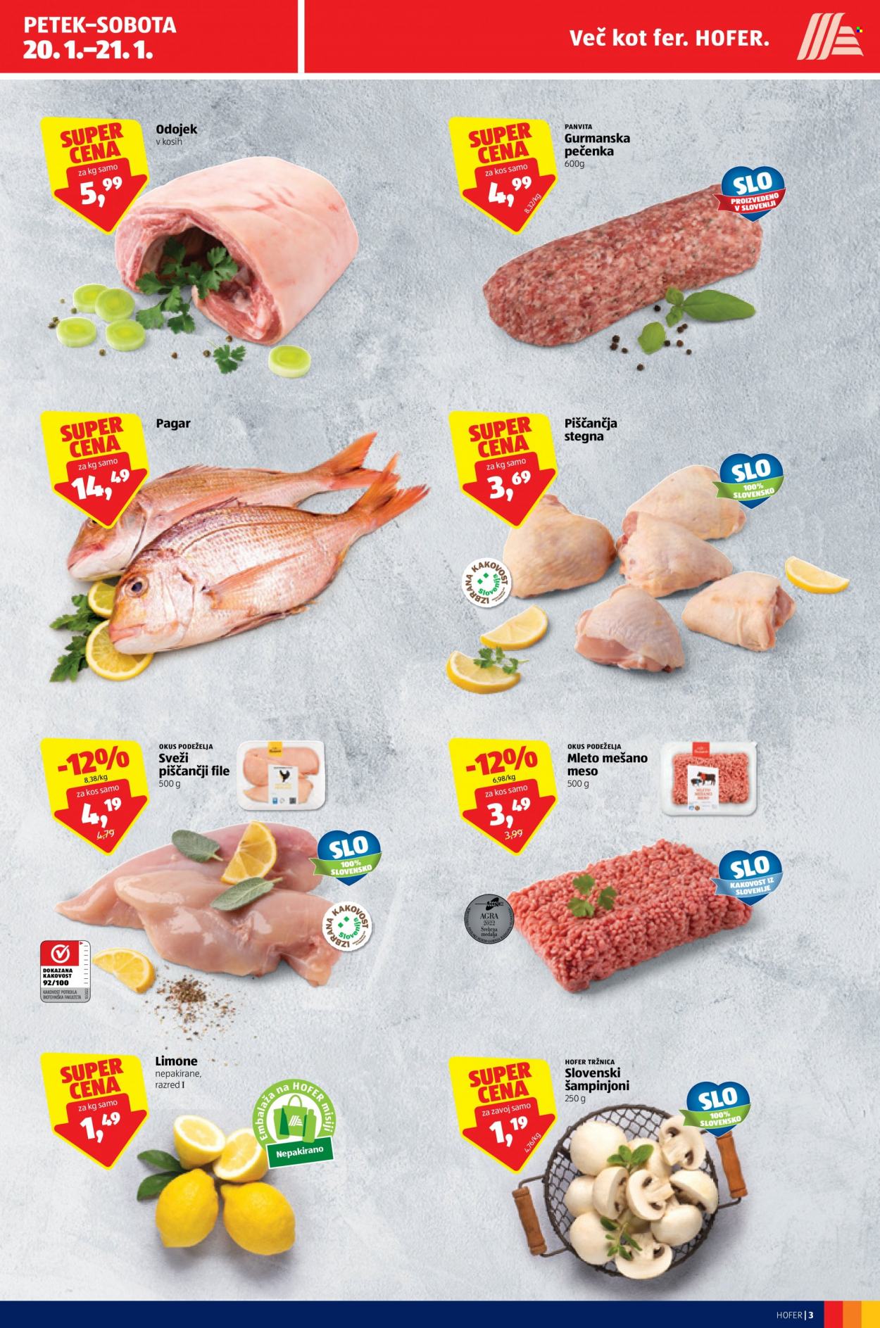 Hofer katalog - 19.1.2023 - 28.1.2023. Stran 3