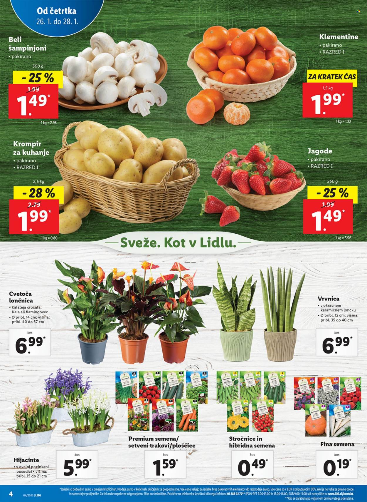 Lidl katalog - 26.1.2023 - 1.2.2023. Stran 8