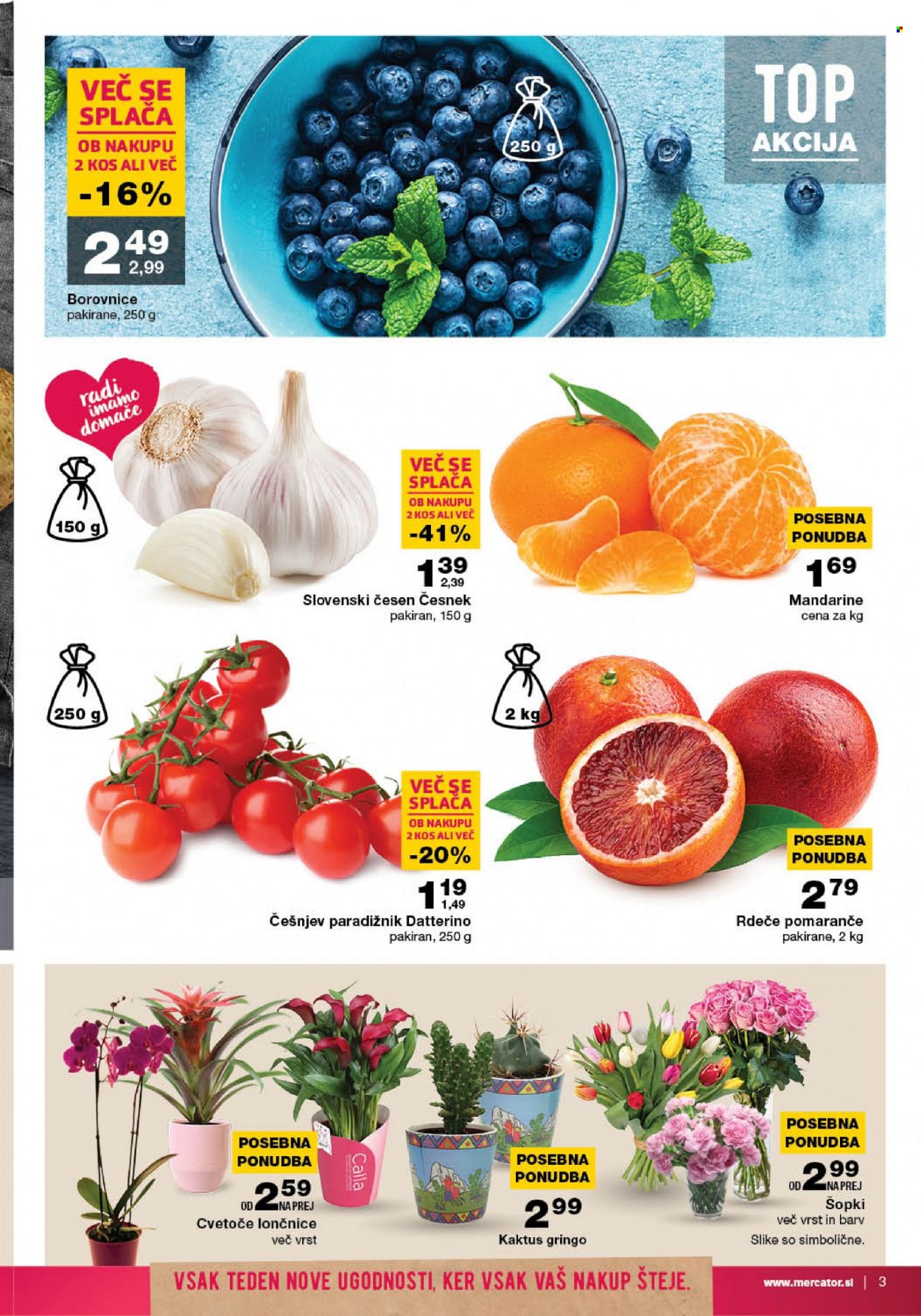 Mercator katalog - 25.1.2023 - 1.2.2023. Stran 3