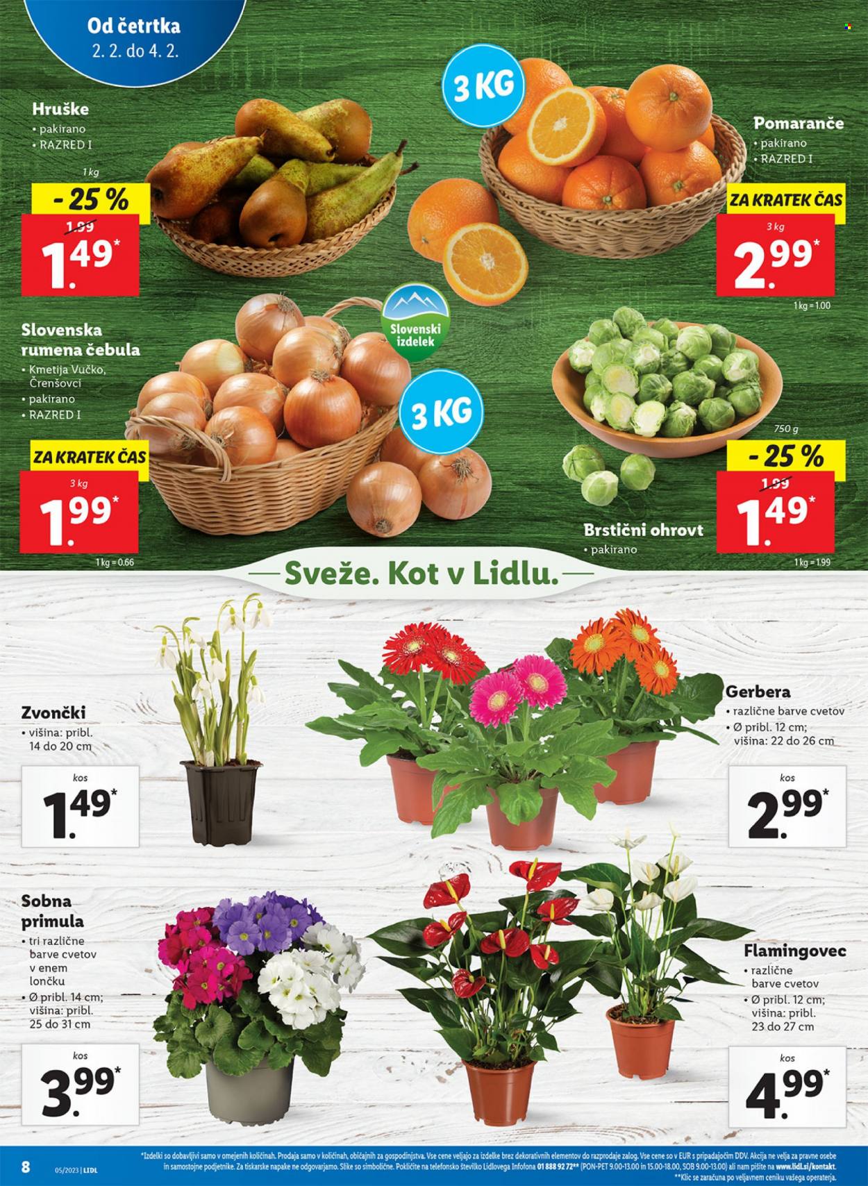 Lidl katalog - 2.2.2023 - 7.2.2023. Stran 14
