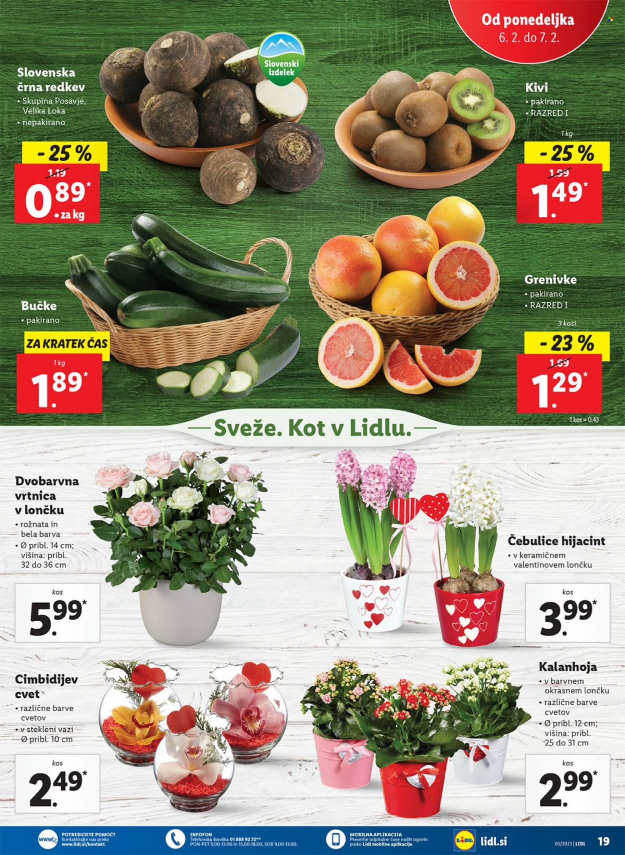 Lidl katalog - 2.2.2023 - 7.2.2023. Stran 29