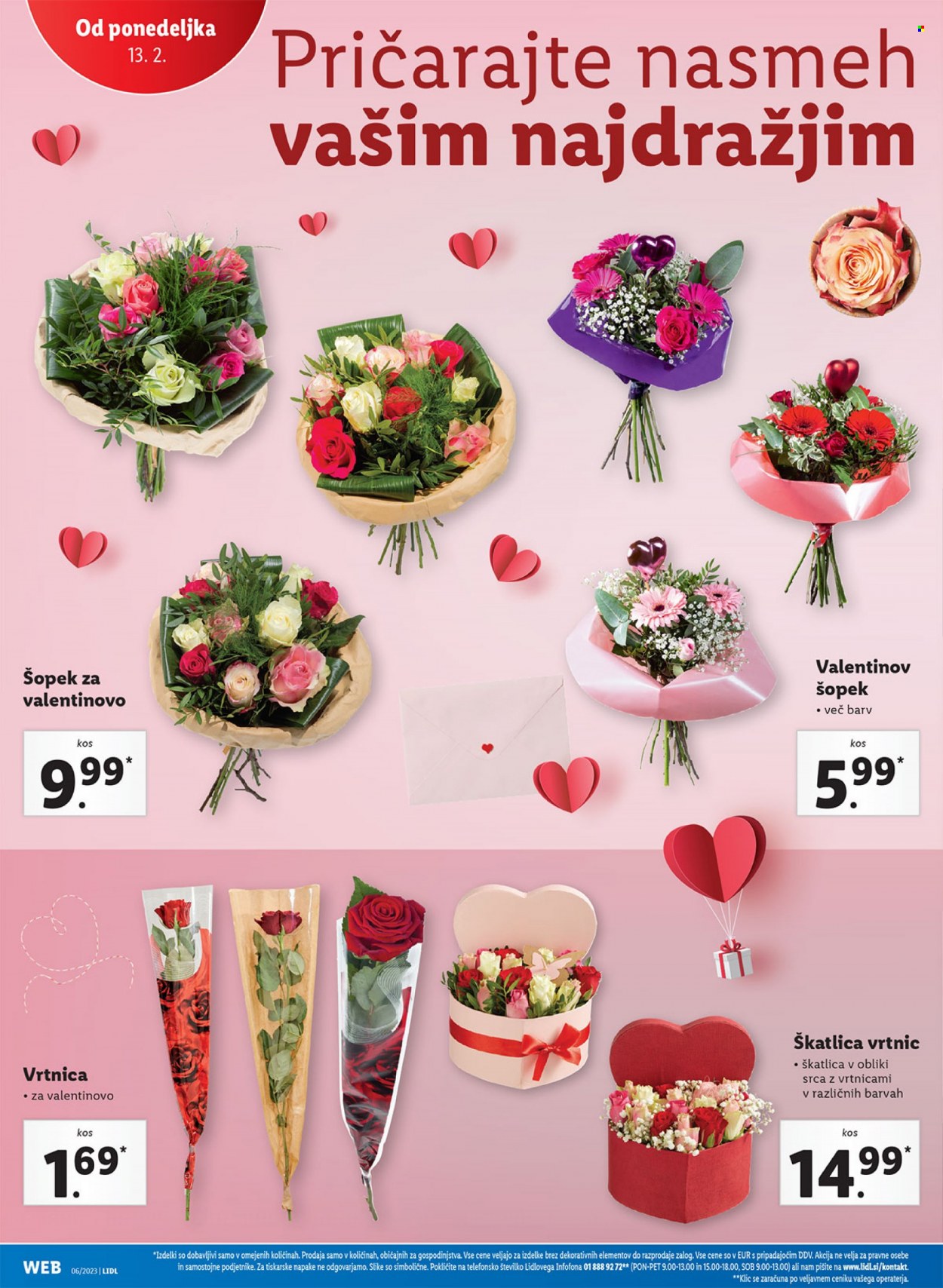 Lidl katalog - 9.2.2023 - 15.2.2023. Stran 10