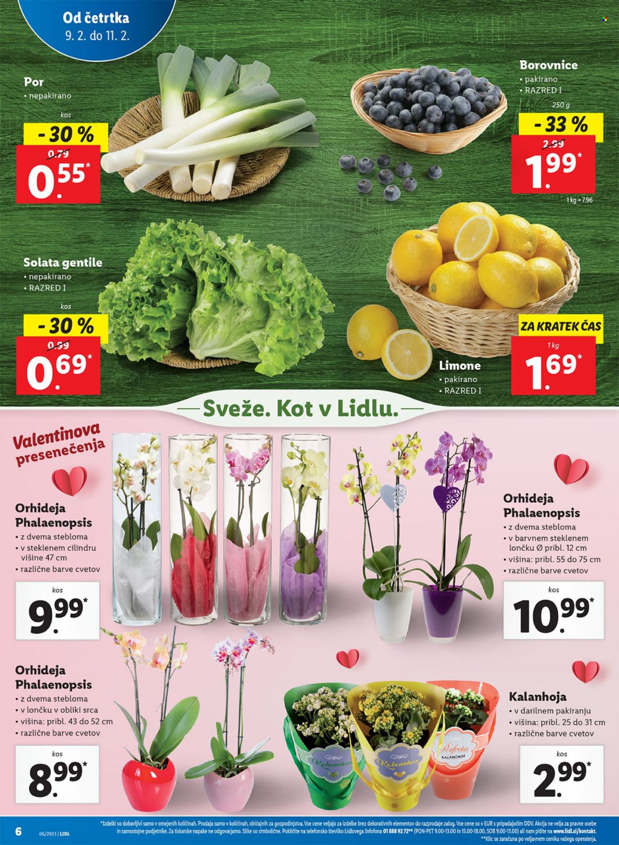 Lidl katalog - 9.2.2023 - 15.2.2023. Stran 14