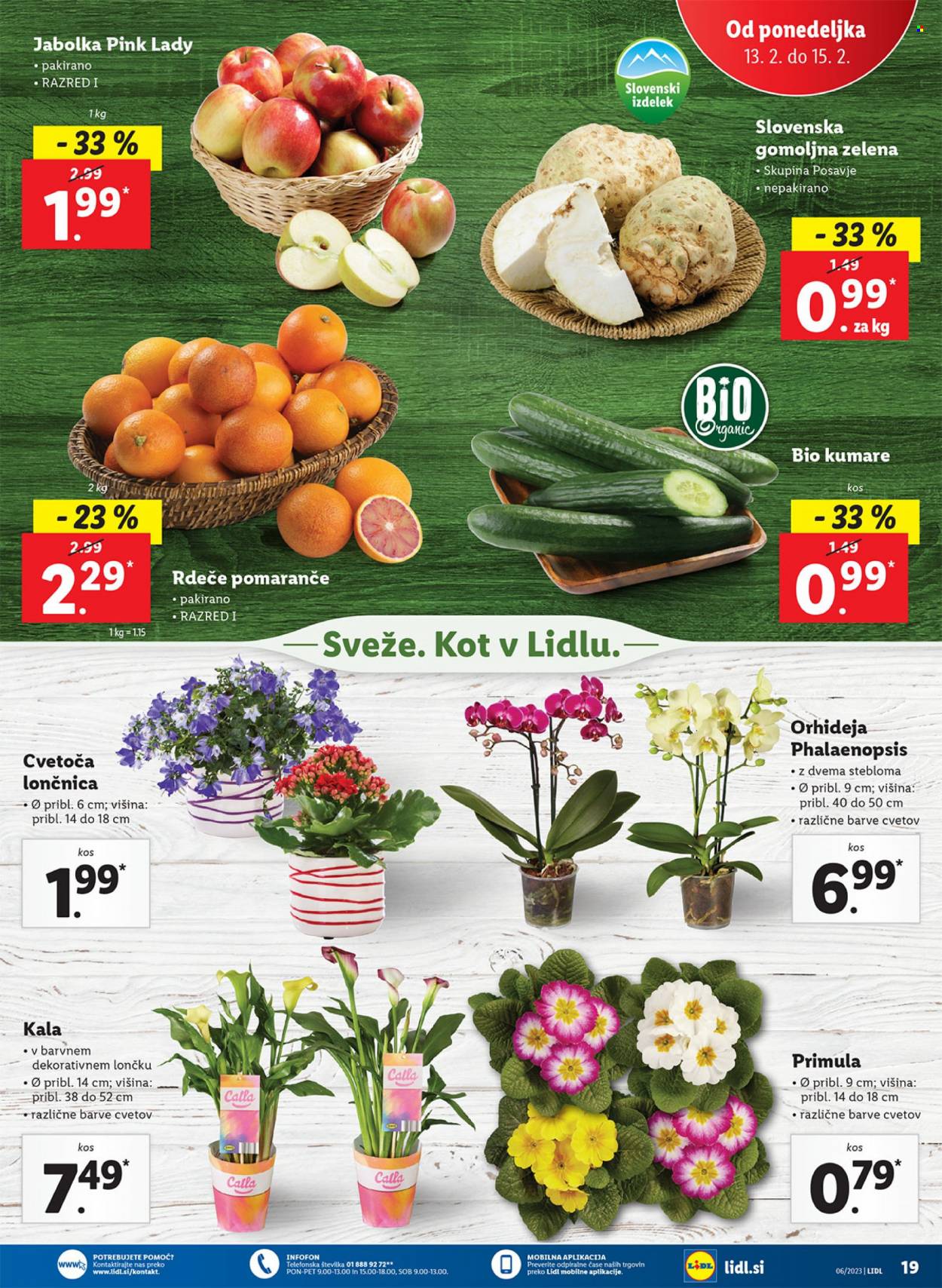 Lidl katalog - 9.2.2023 - 15.2.2023. Stran 35
