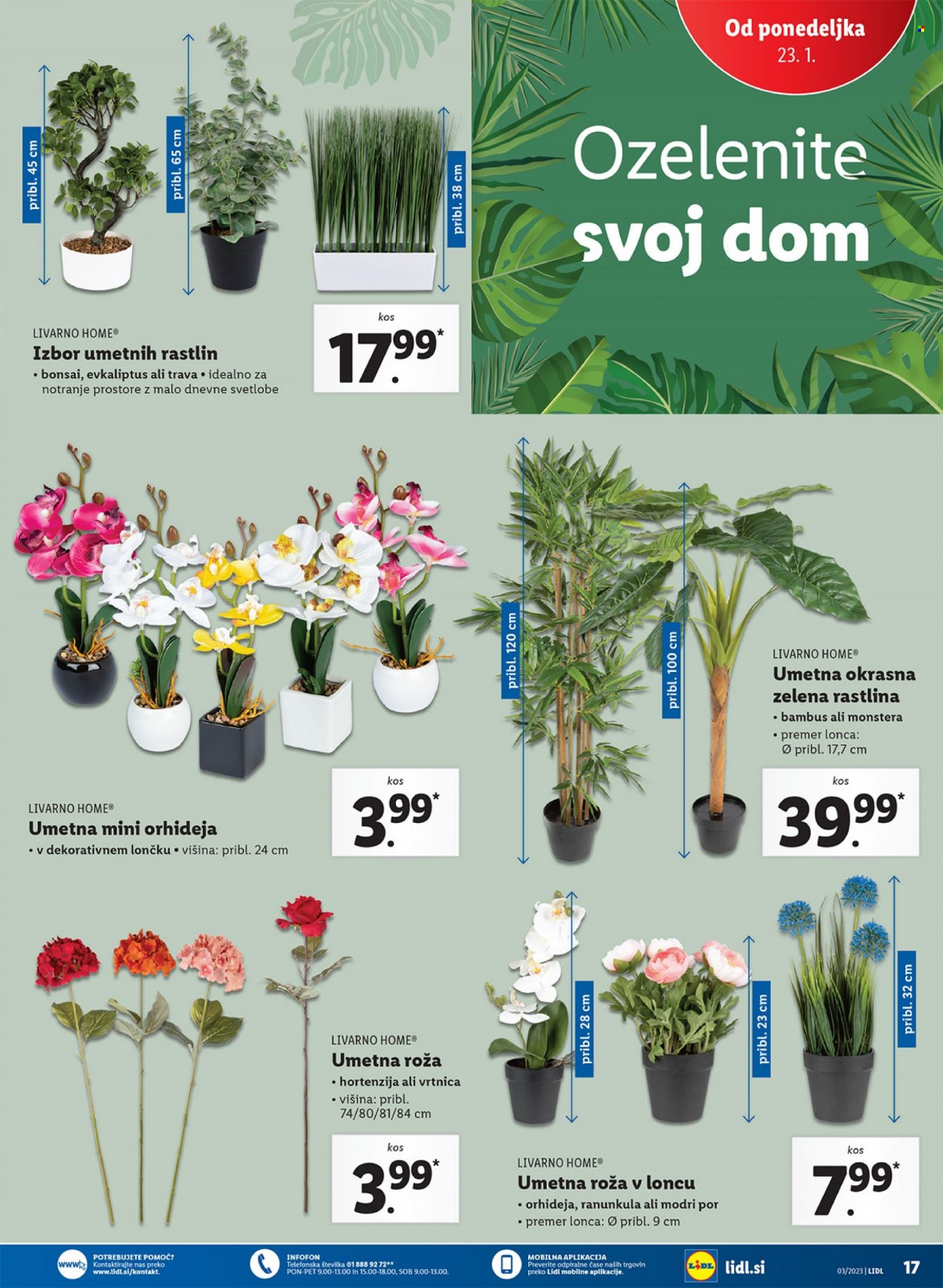 Lidl katalog. Stran 45