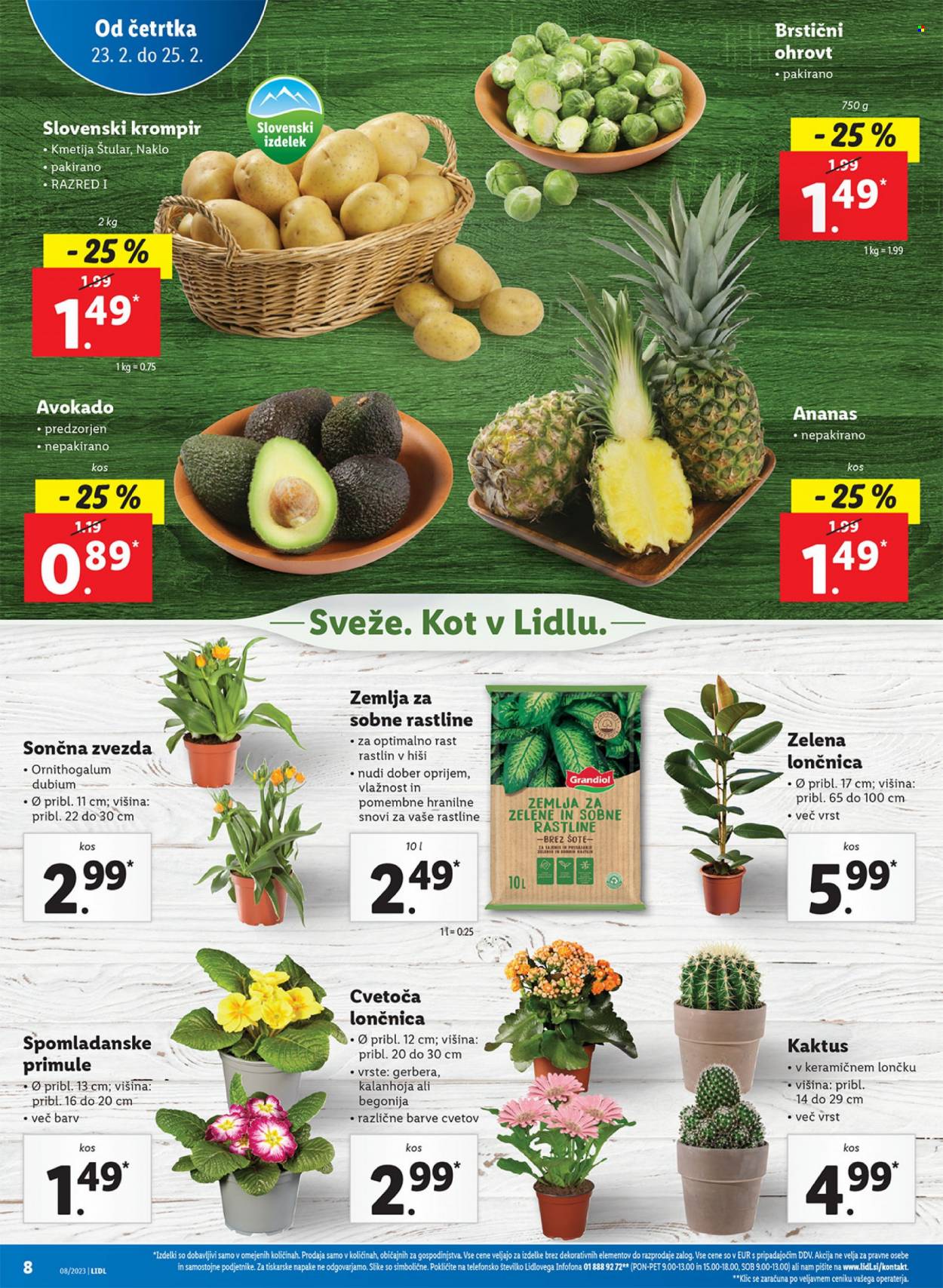 Lidl katalog - 23.2.2023 - 1.3.2023. Stran 18