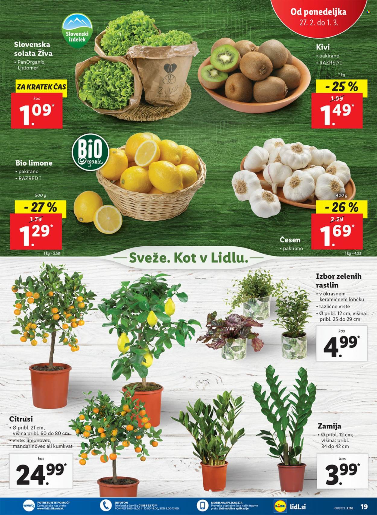 Lidl katalog - 23.2.2023 - 1.3.2023. Stran 35