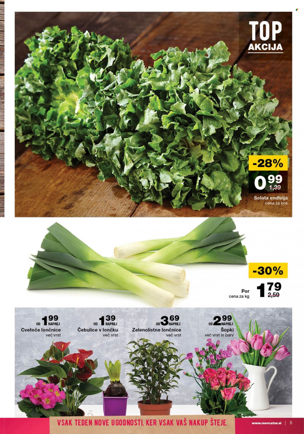 Mercator katalog - 23.2.2023 - 1.3.2023. Stran 5