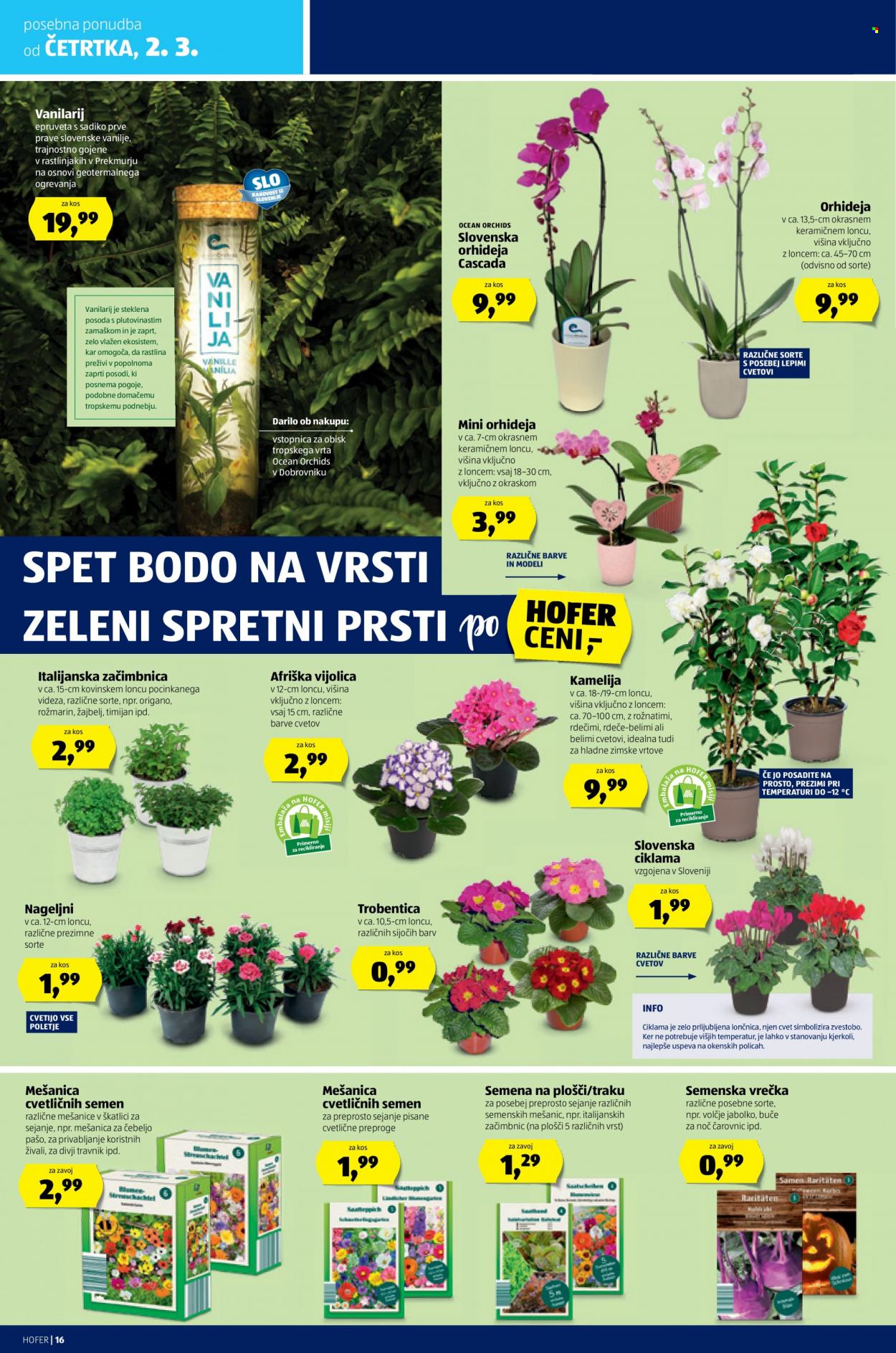 Hofer katalog - 23.2.2023 - 4.3.2023. Stran 16