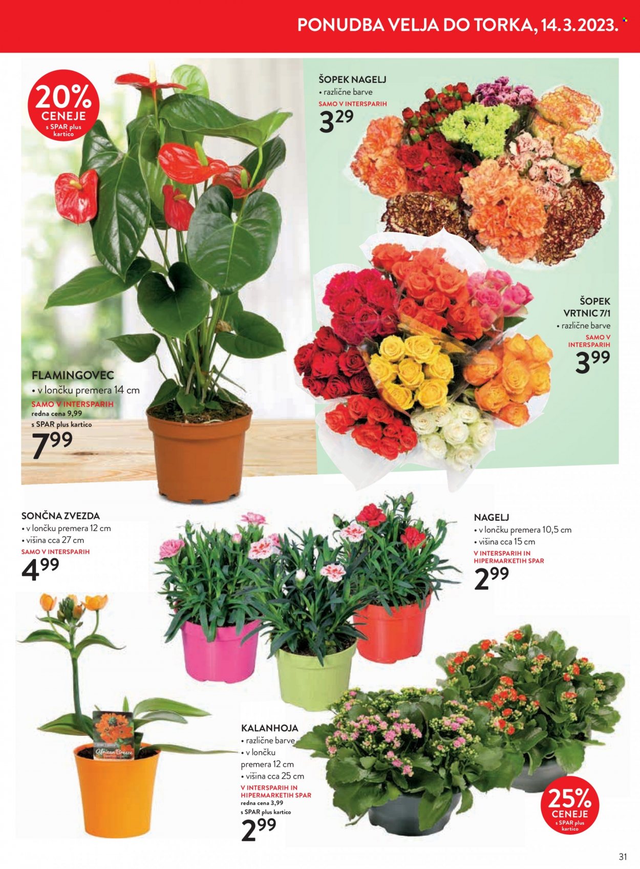 SPAR katalog - 1.3.2023 - 14.3.2023. Stran 35
