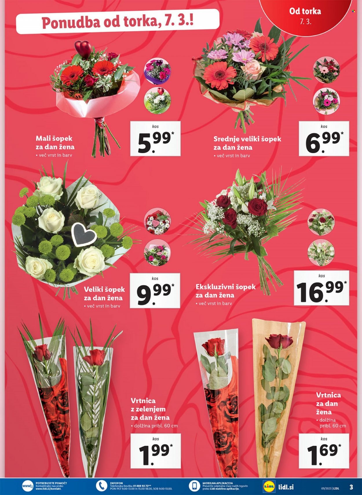 Lidl katalog - 2.3.2023 - 8.3.2023. Stran 3