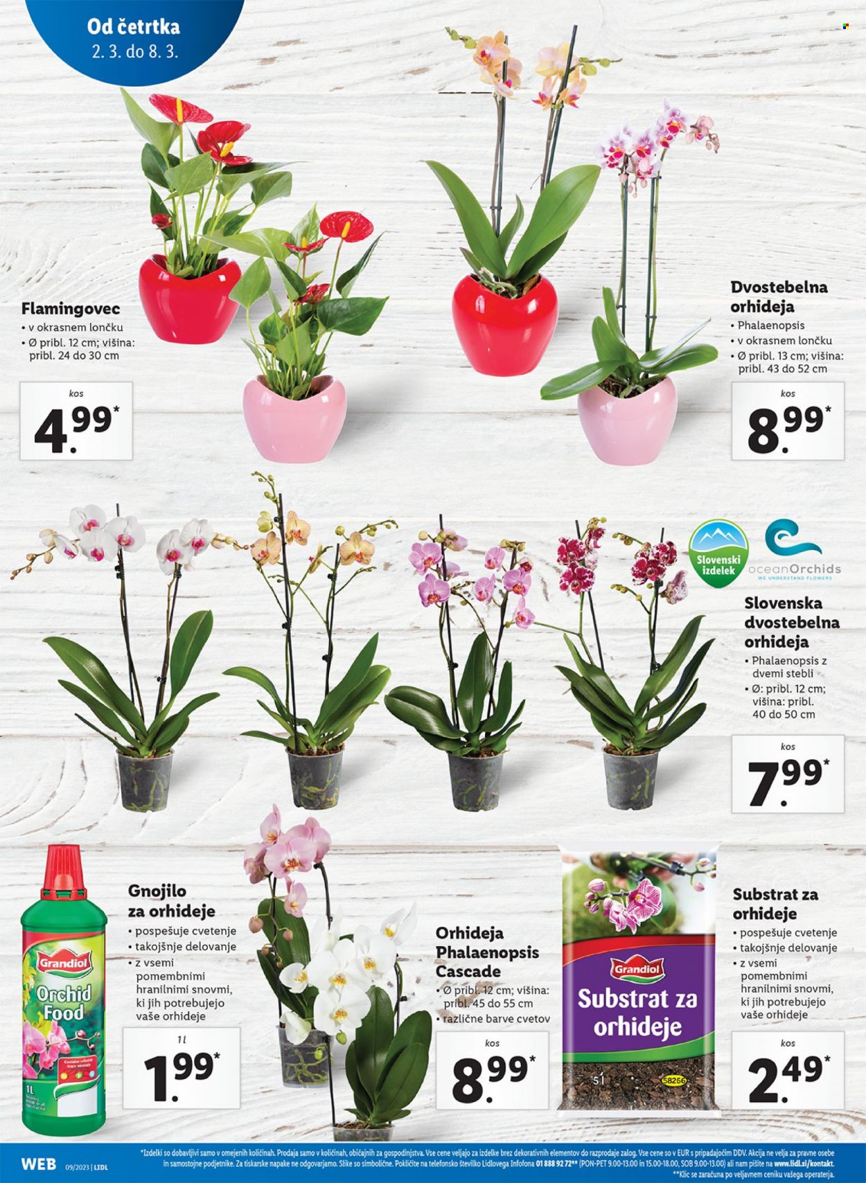Lidl katalog - 2.3.2023 - 8.3.2023. Stran 4