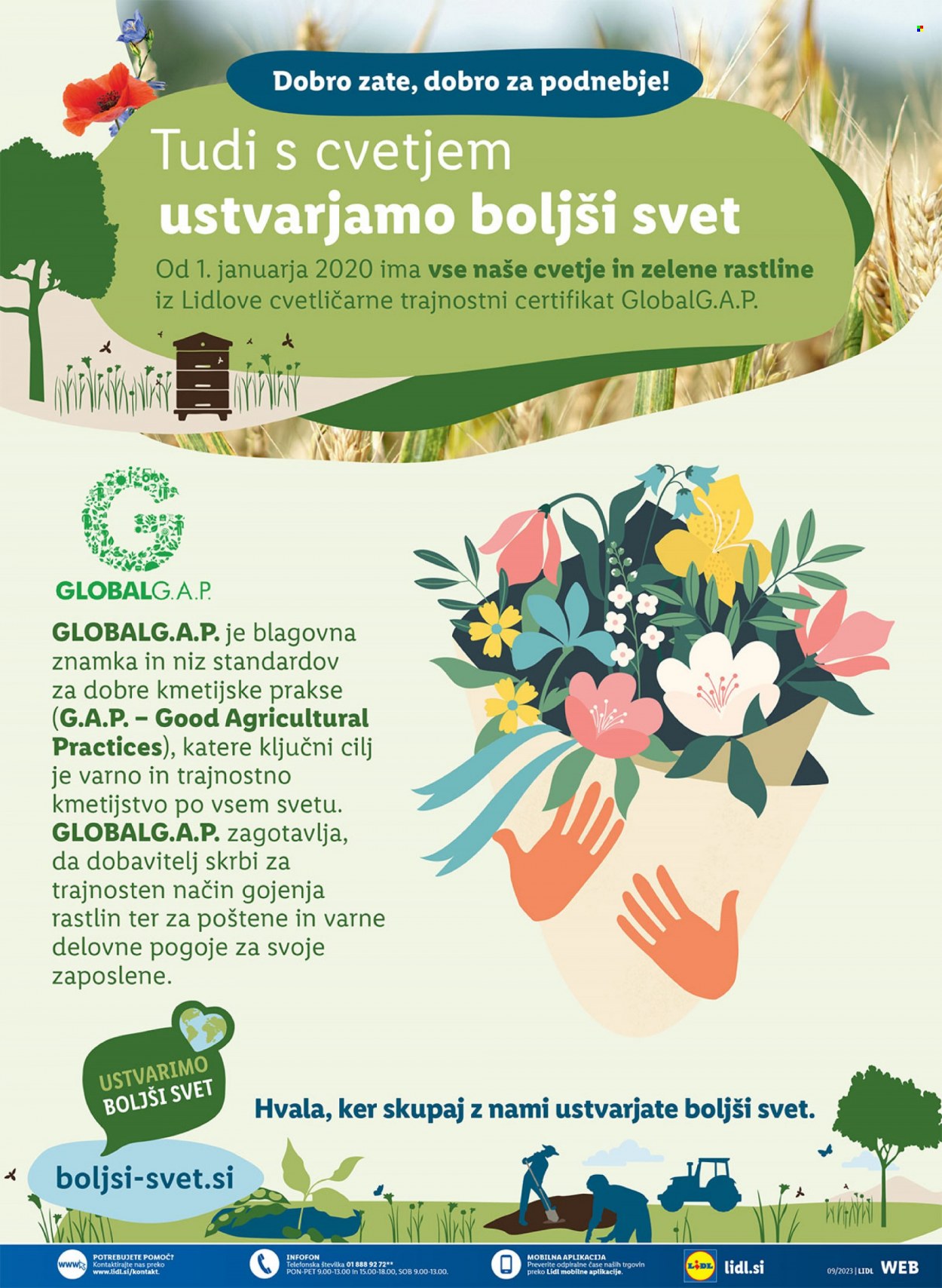 Lidl katalog - 2.3.2023 - 8.3.2023. Stran 5