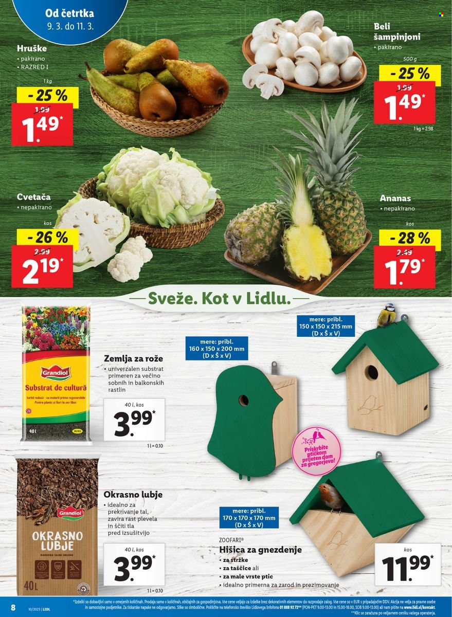 Lidl katalog - 9.3.2023 - 15.3.2023. Stran 12