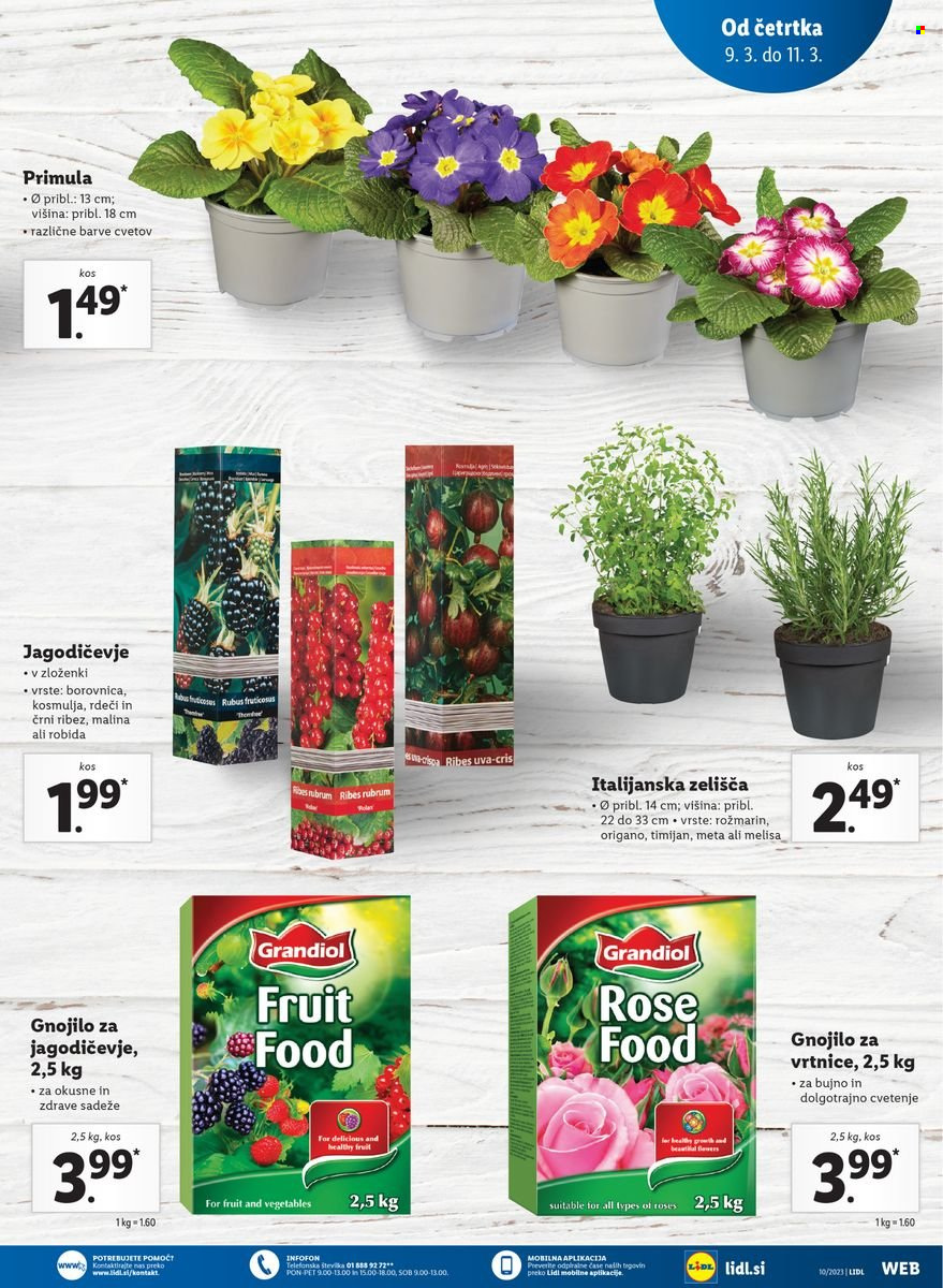 Lidl katalog - 9.3.2023 - 15.3.2023. Stran 15