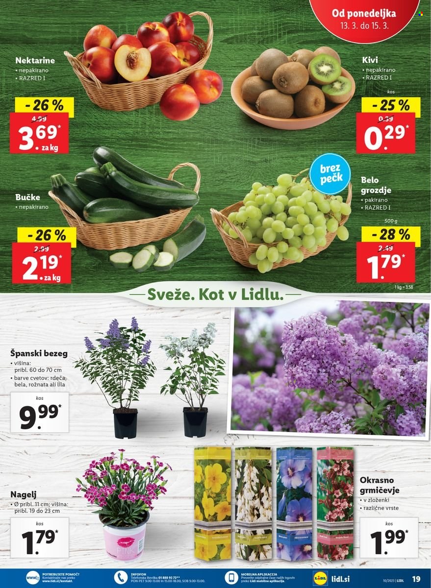 Lidl katalog - 9.3.2023 - 15.3.2023. Stran 35