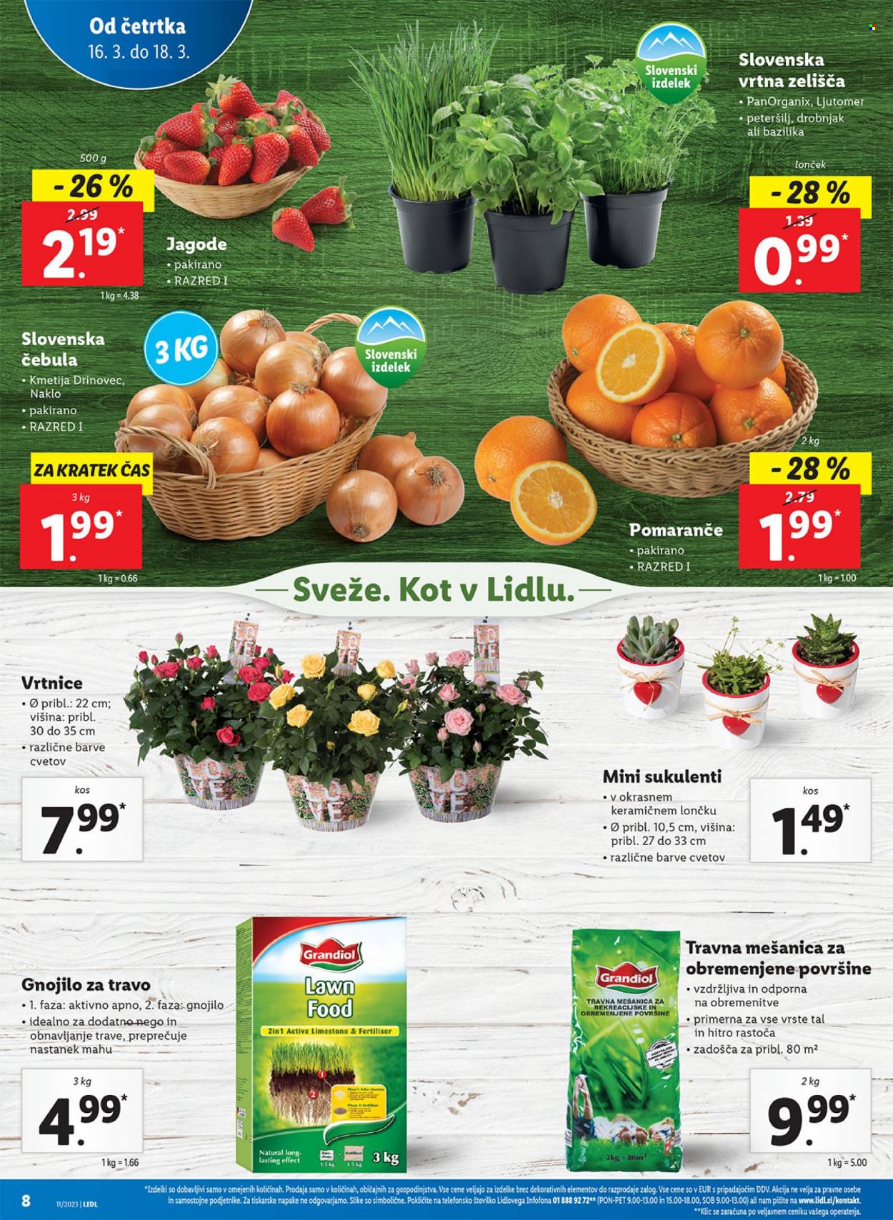 Lidl katalog - 16.3.2023 - 22.3.2023. Stran 12