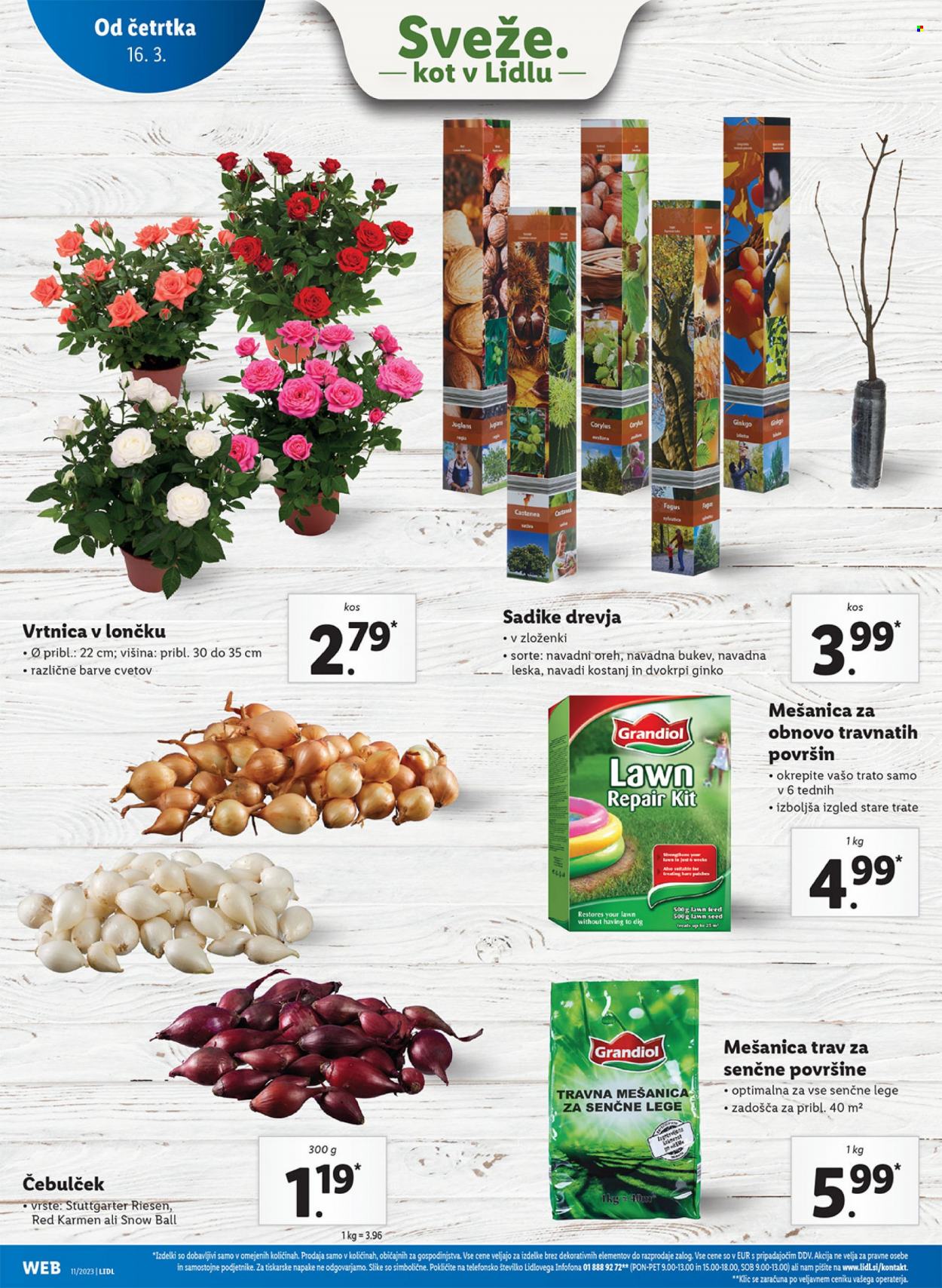 Lidl katalog - 16.3.2023 - 22.3.2023. Stran 22