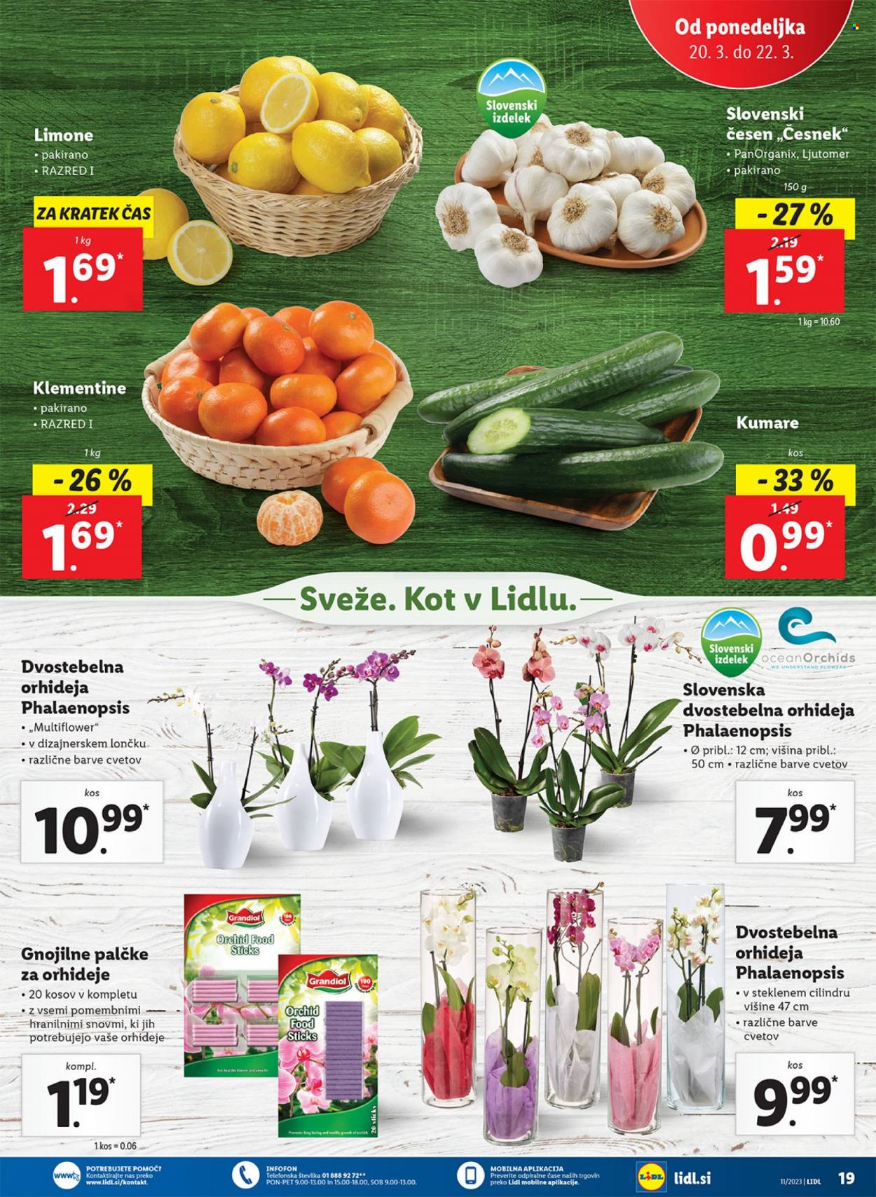 Lidl katalog - 16.3.2023 - 22.3.2023. Stran 37