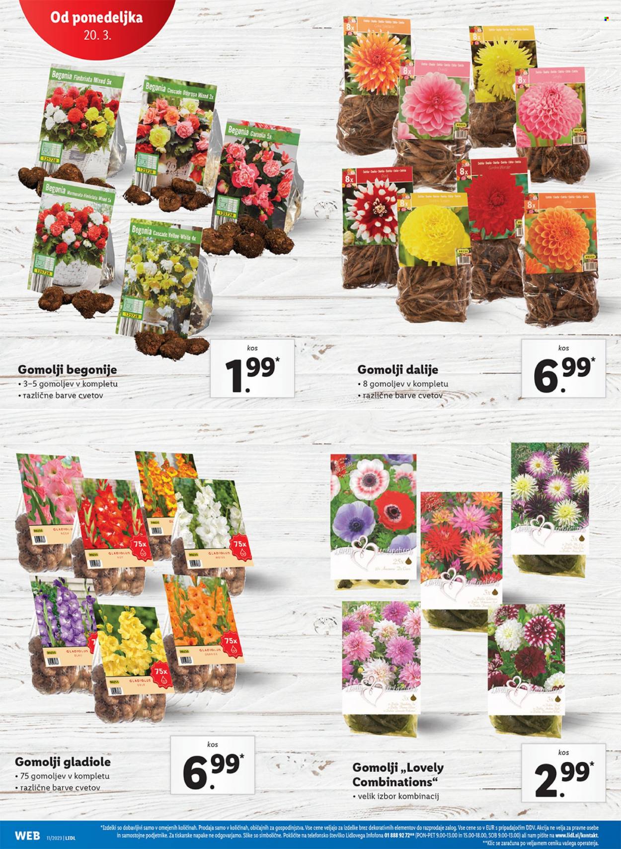 Lidl katalog - 16.3.2023 - 22.3.2023. Stran 38