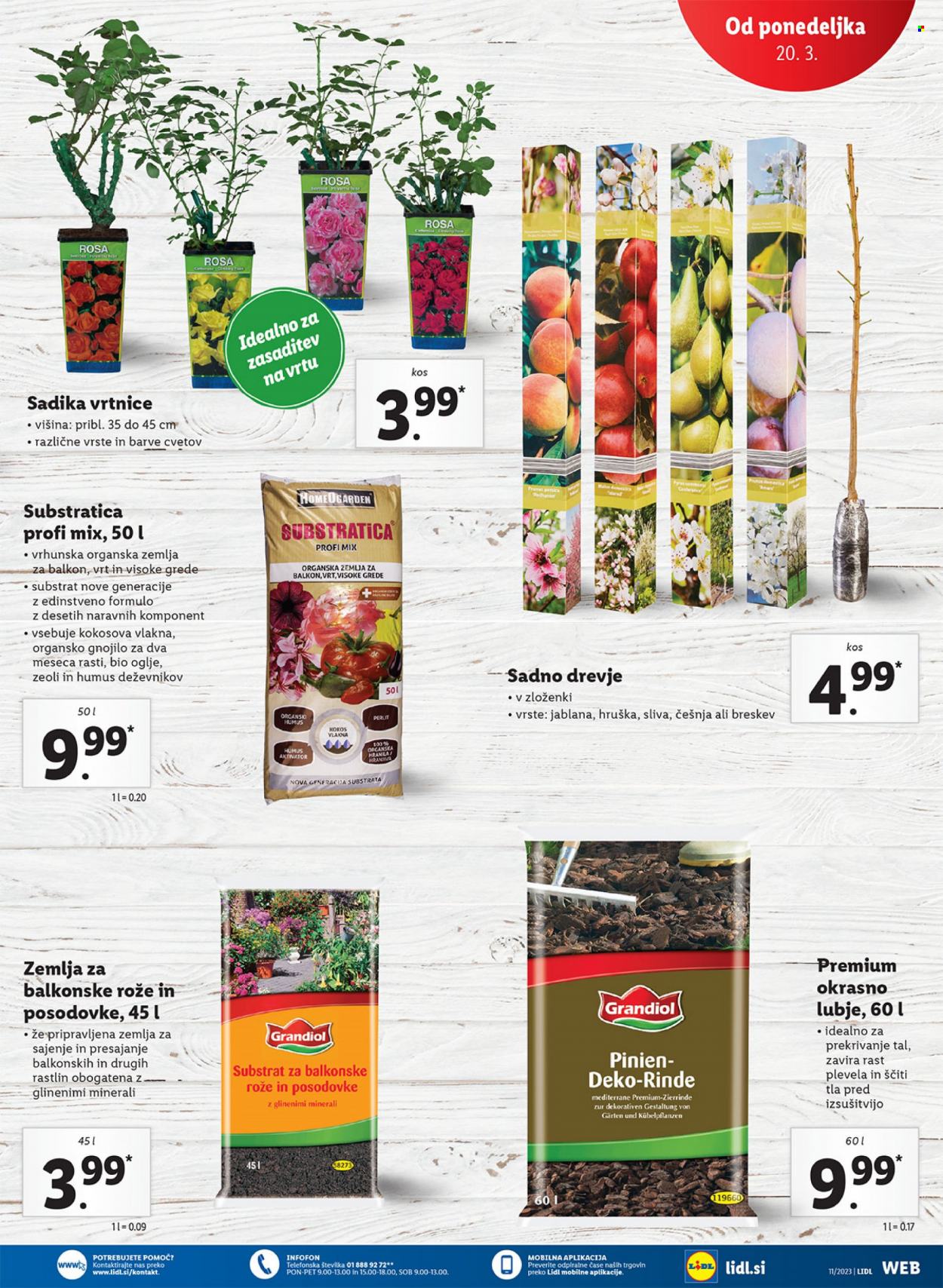 Lidl katalog - 16.3.2023 - 22.3.2023. Stran 39